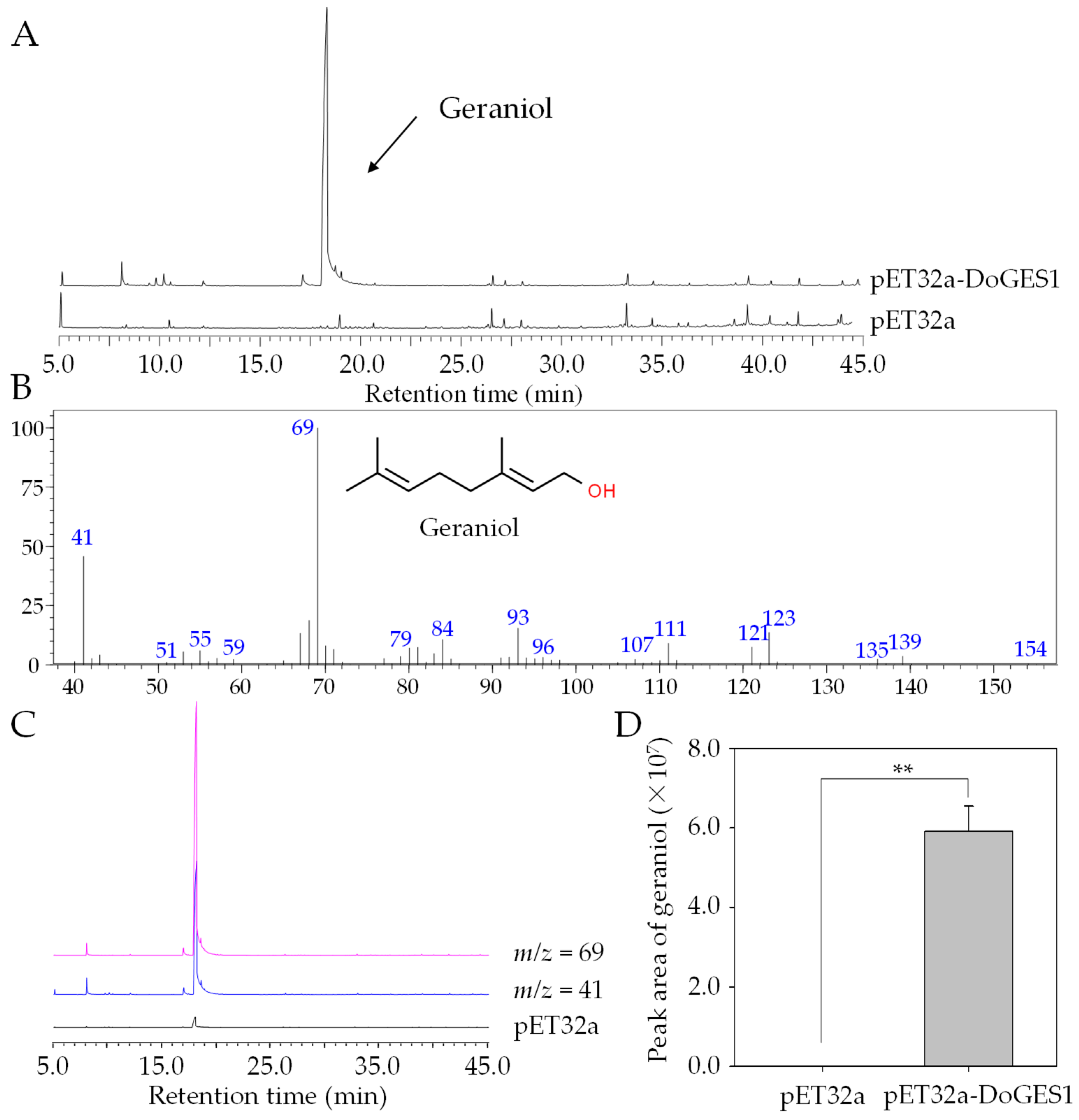 Ijms 21 07005 g005 Ijms 21 07005 g005