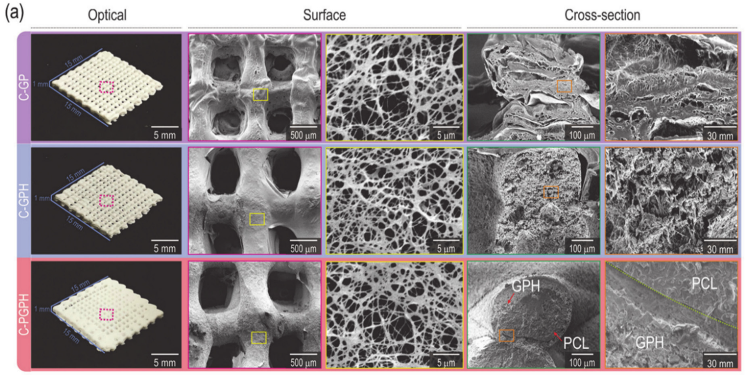 8,092 Sponge Heart Images, Stock Photos, 3D objects, & Vectors