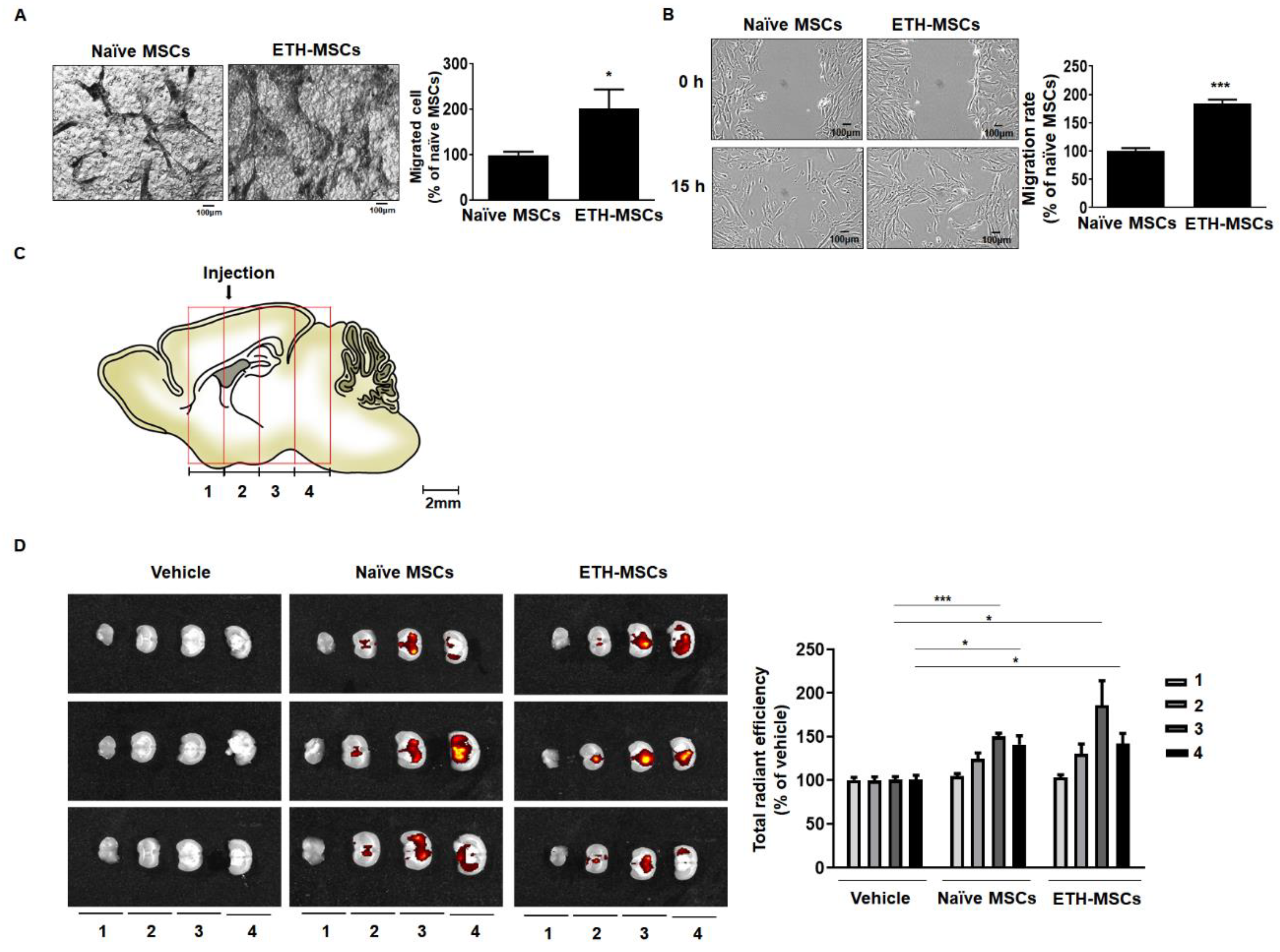 Ijms 21 07013 g003 Ijms 21 07013 g003