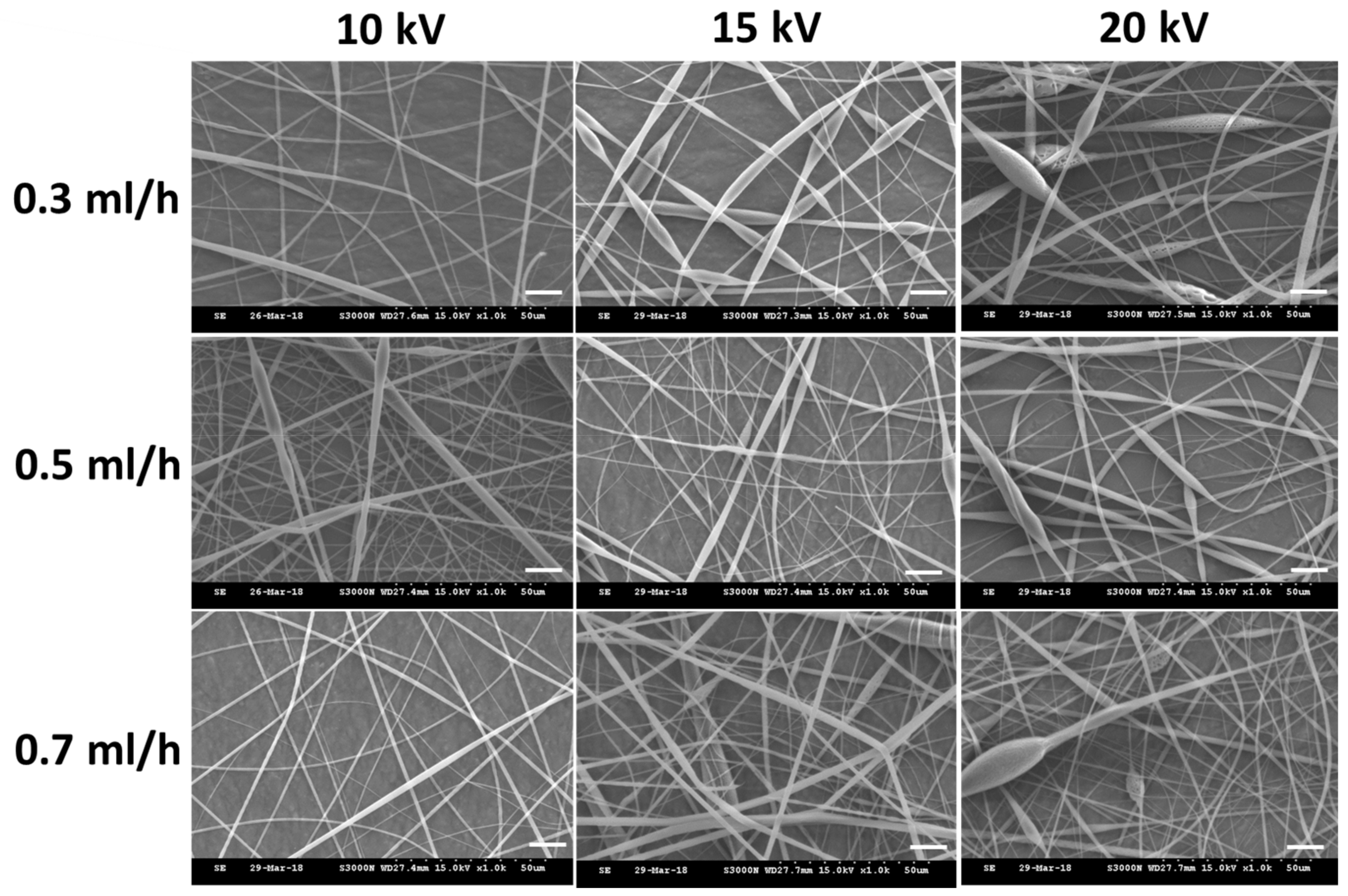 Ijms 21 07031 g002 Ijms 21 07031 g002