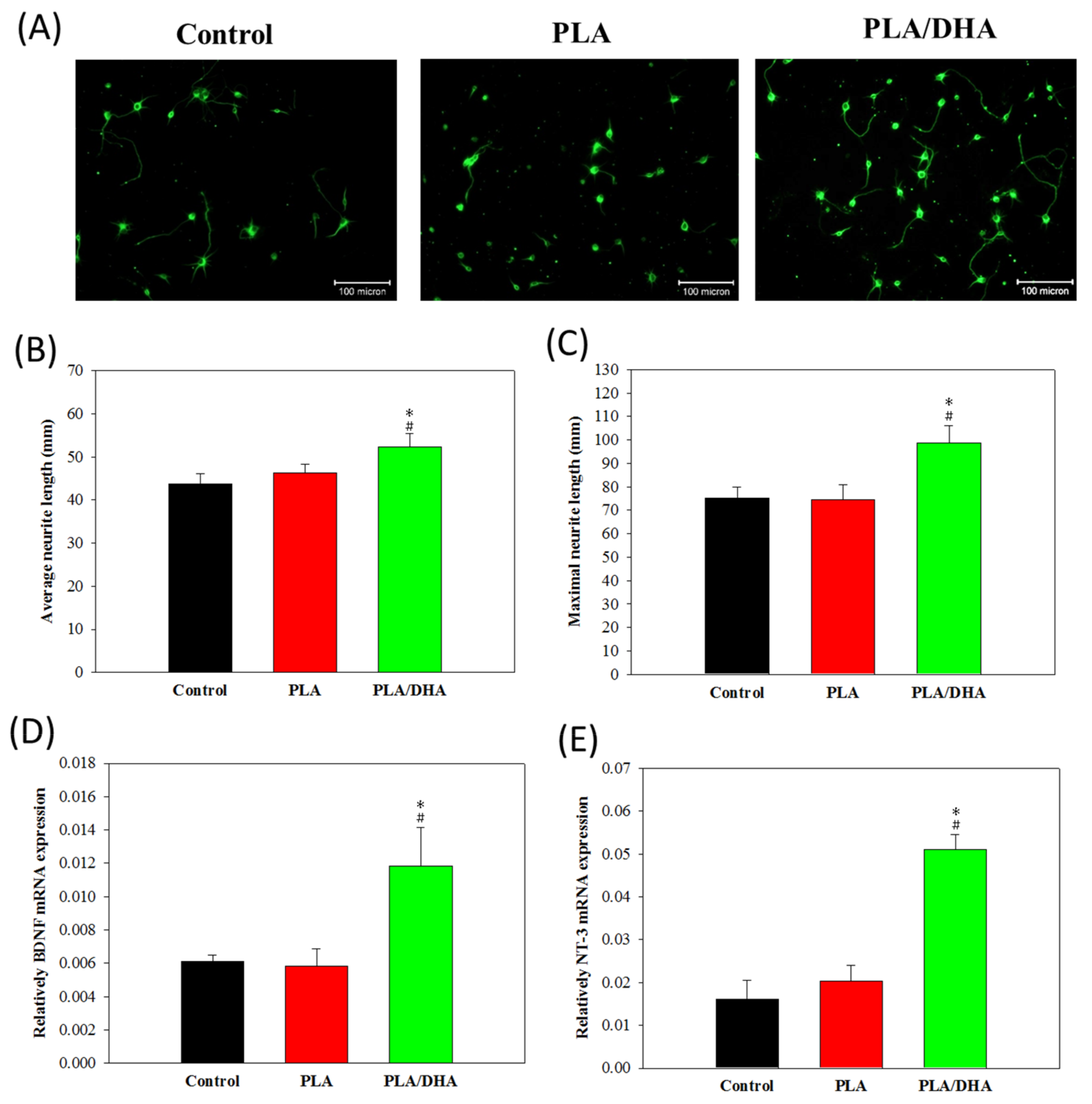 Ijms 21 07031 g007 Ijms 21 07031 g007