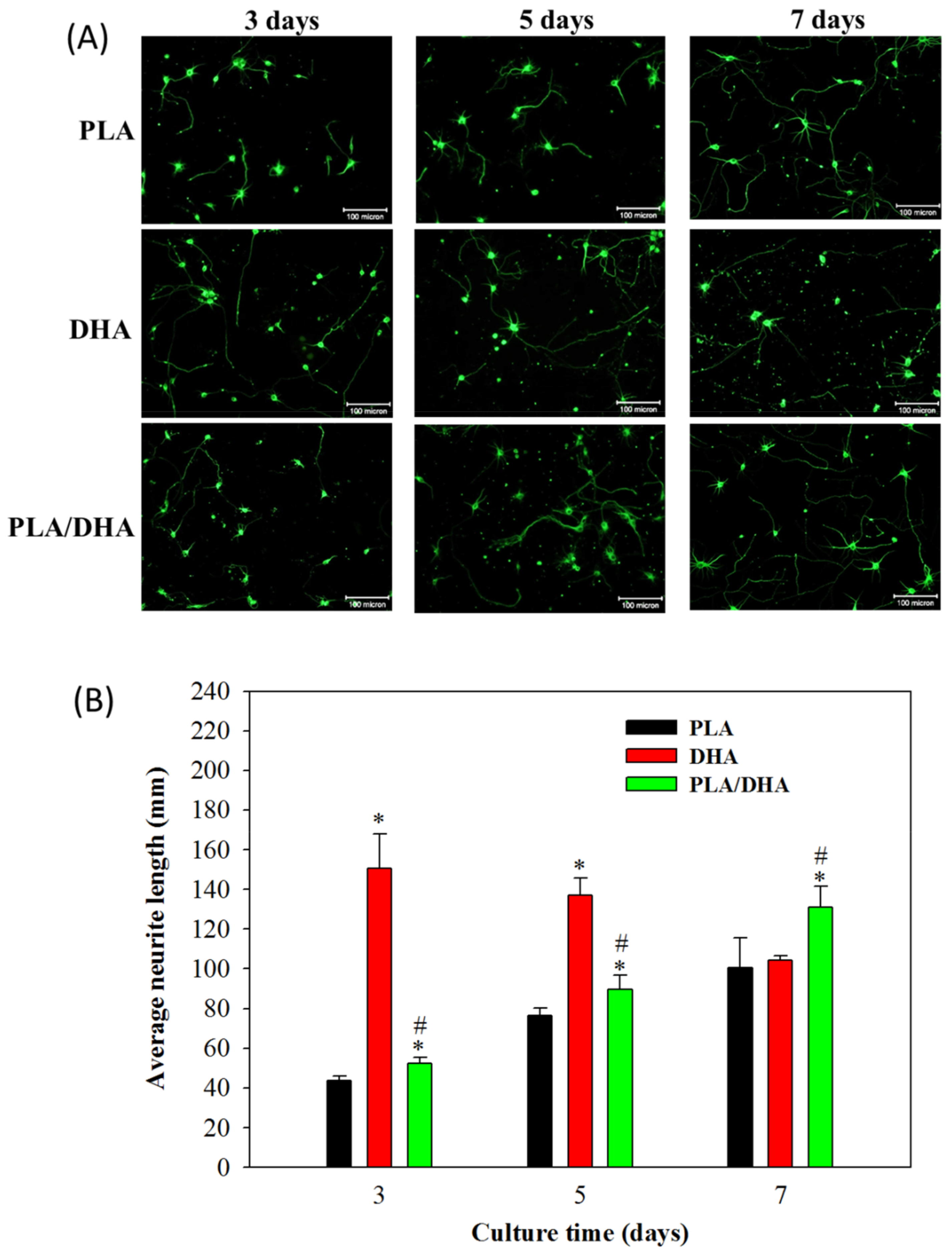 Ijms 21 07031 g008 Ijms 21 07031 g008