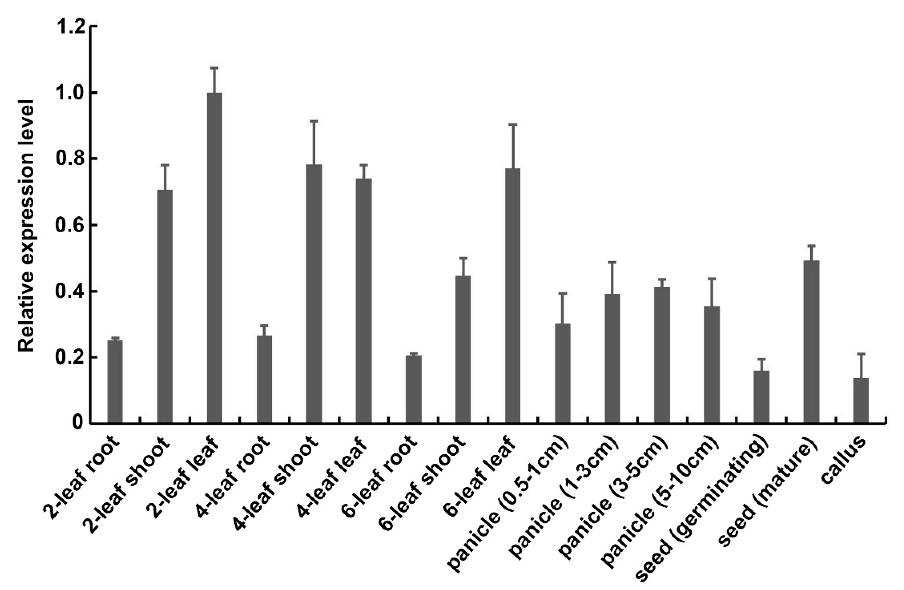 Ijms 21 07049 g001 Ijms 21 07049 g001