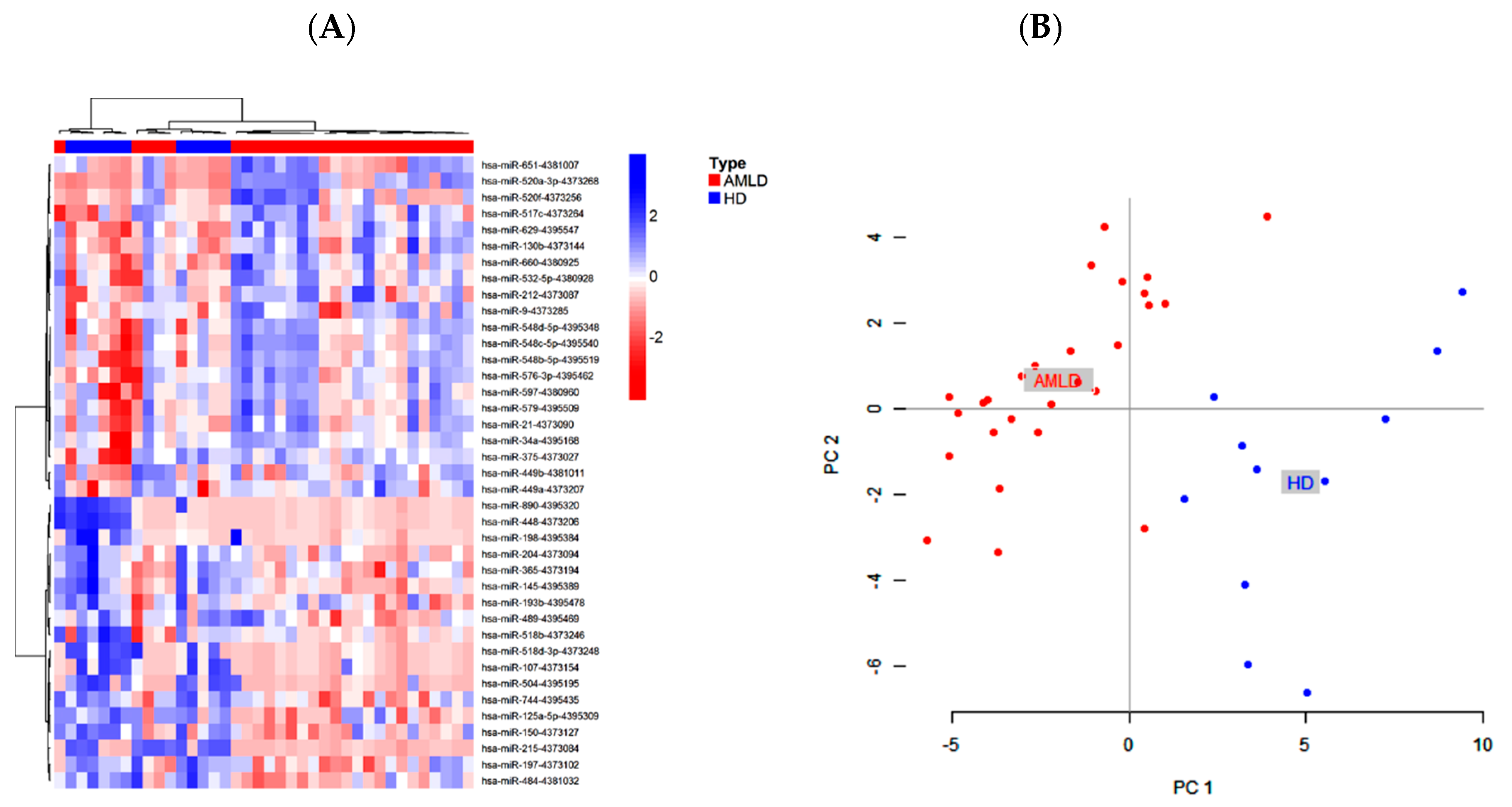 Ijms 21 07065 g001 Ijms 21 07065 g001
