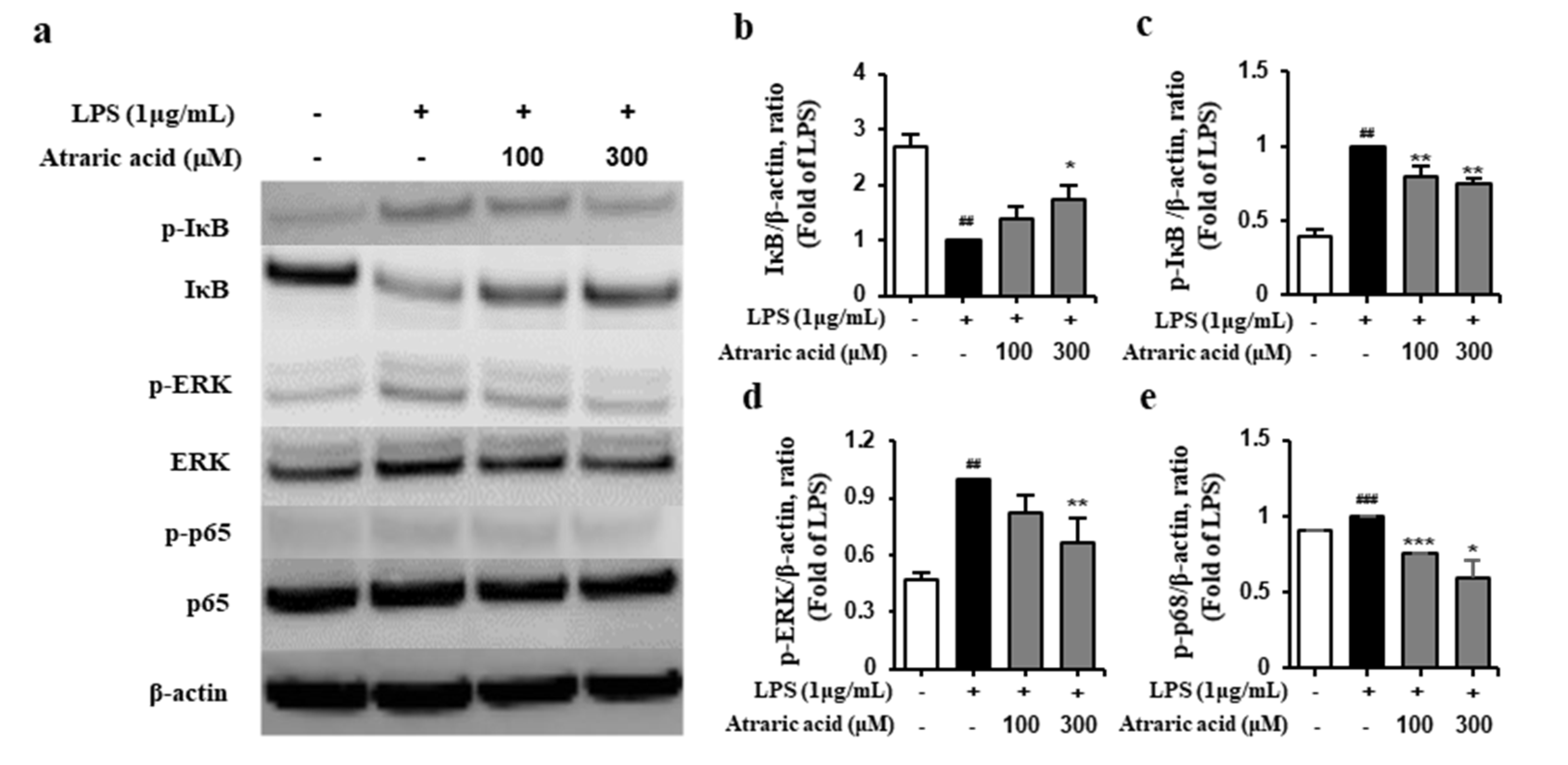 Ijms 21 07070 g006 Ijms 21 07070 g006