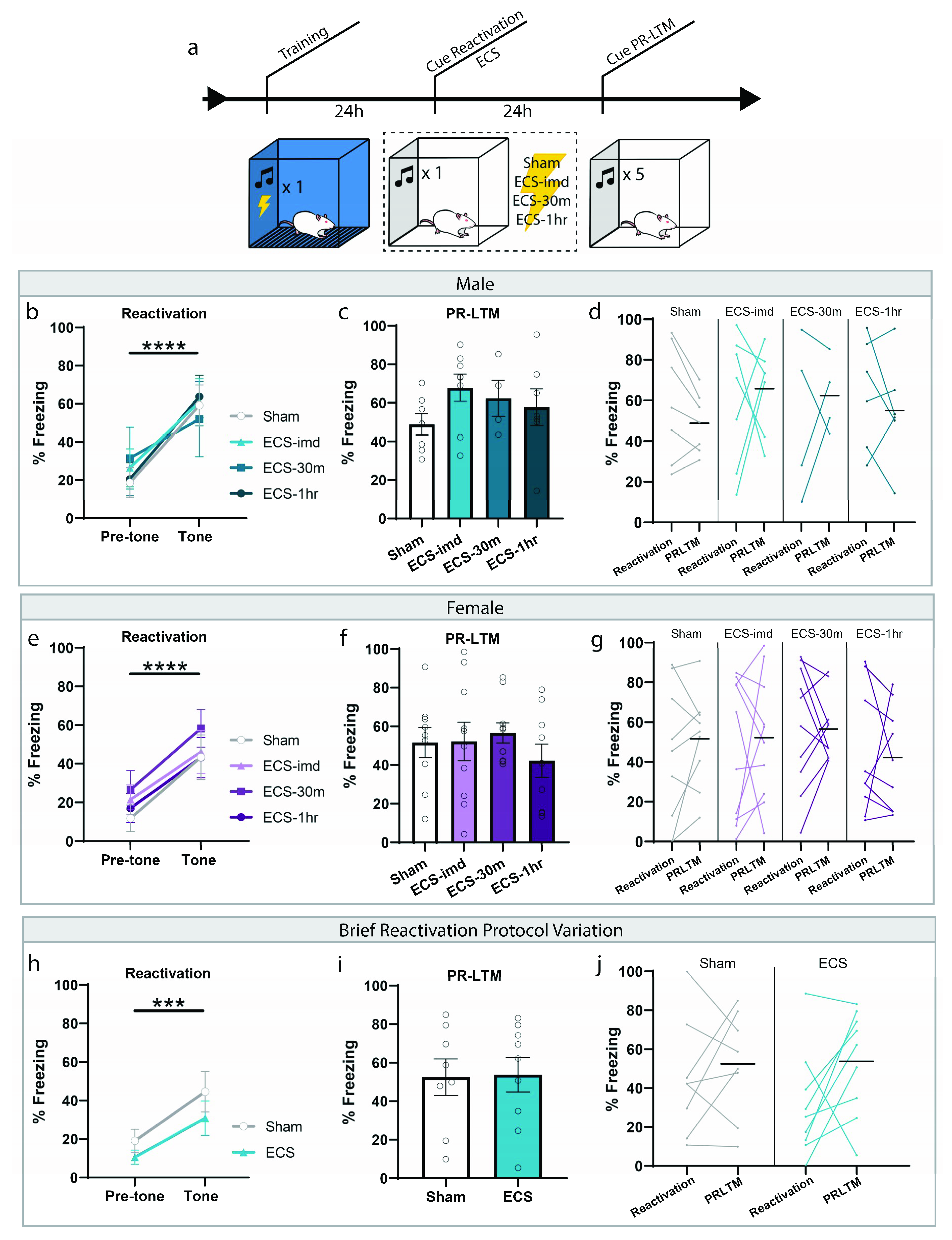 Ijms 21 07072 g001 Ijms 21 07072 g001