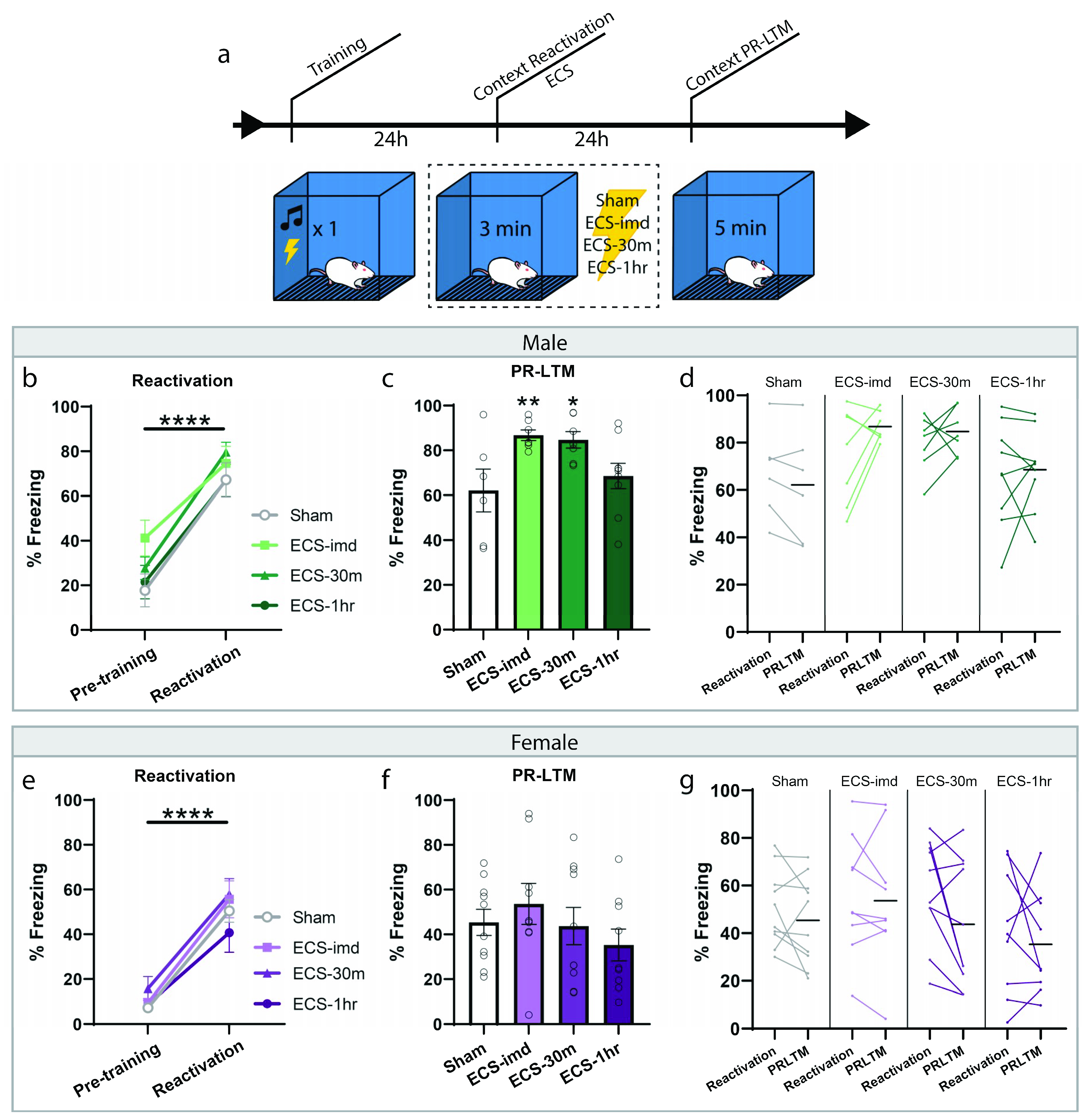 Ijms 21 07072 g002 Ijms 21 07072 g002