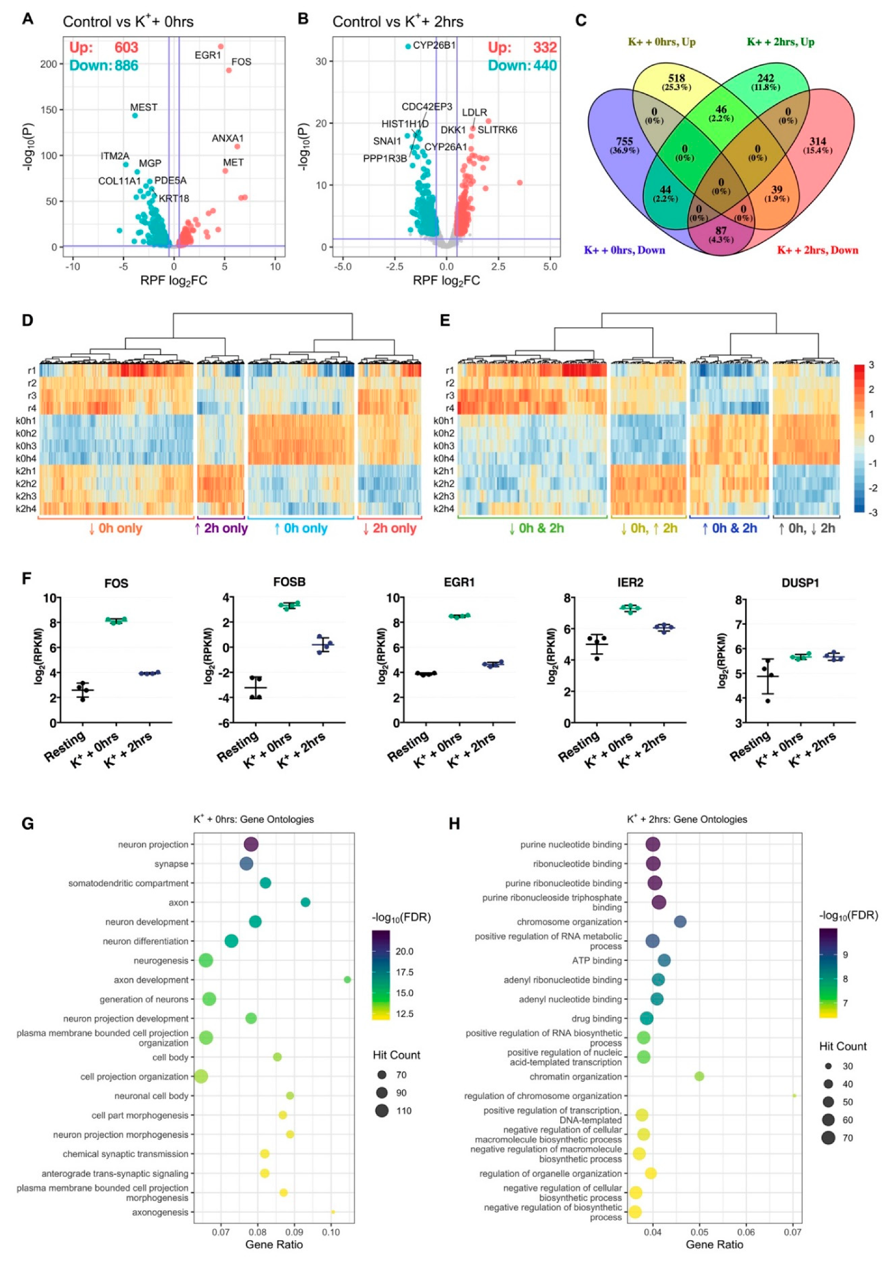 Ijms 21 07086 g002 Ijms 21 07086 g002
