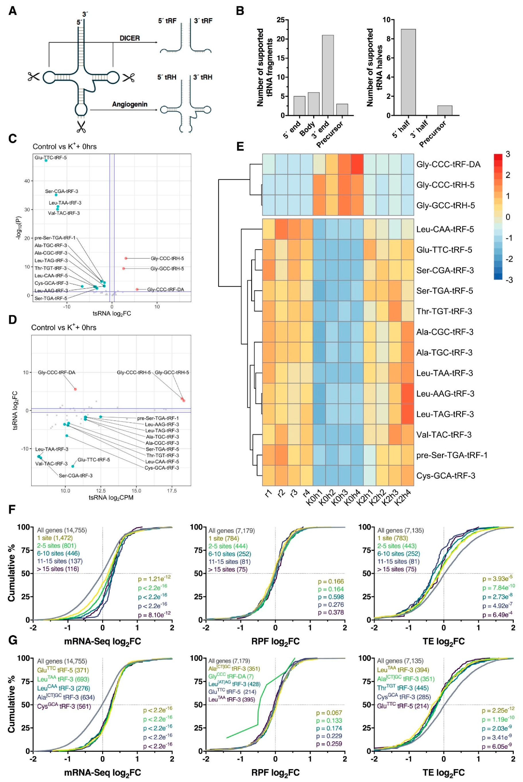 Ijms 21 07086 g007 Ijms 21 07086 g007