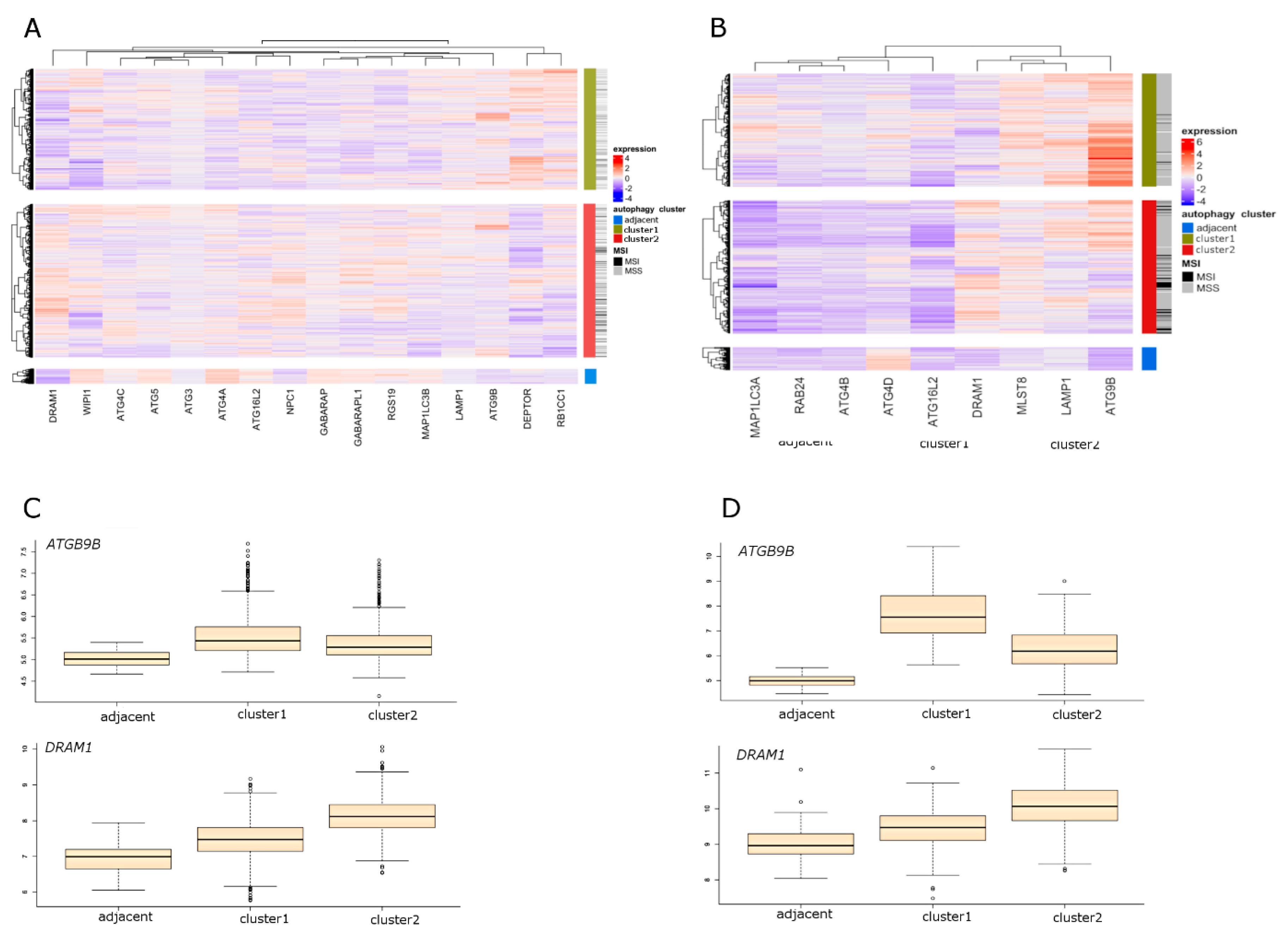 Ijms 21 07101 g001 Ijms 21 07101 g001
