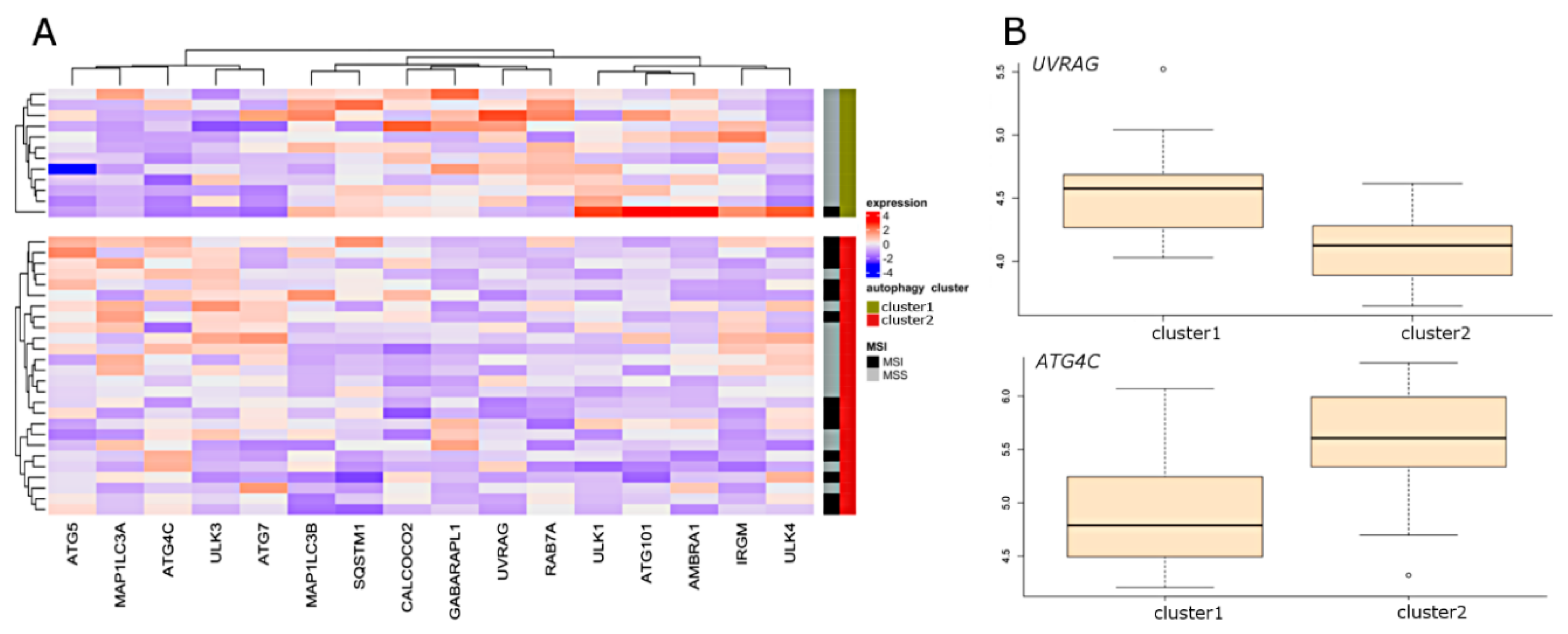 Ijms 21 07101 g002 Ijms 21 07101 g002