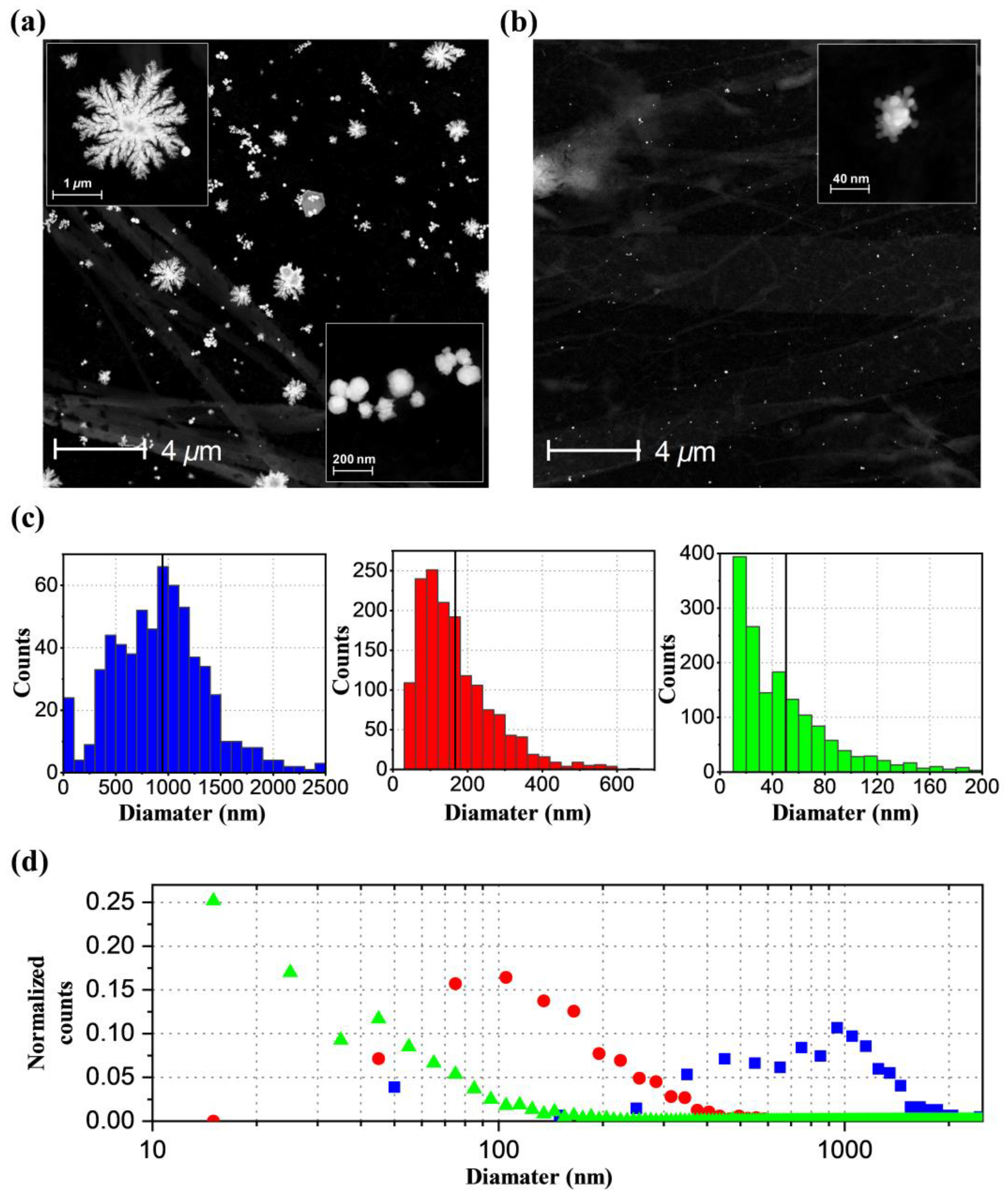 Ijms 21 07125 g002 Ijms 21 07125 g002