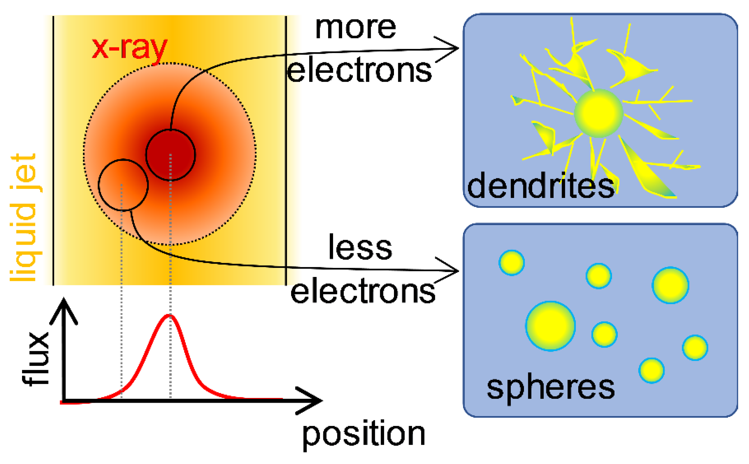 Ijms 21 07125 g003 Ijms 21 07125 g003