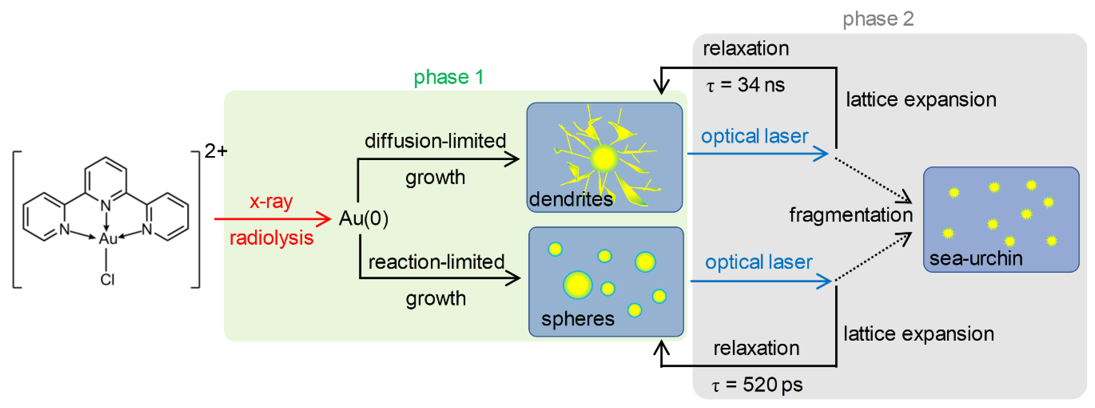 Ijms 21 07125 g005 Ijms 21 07125 g005