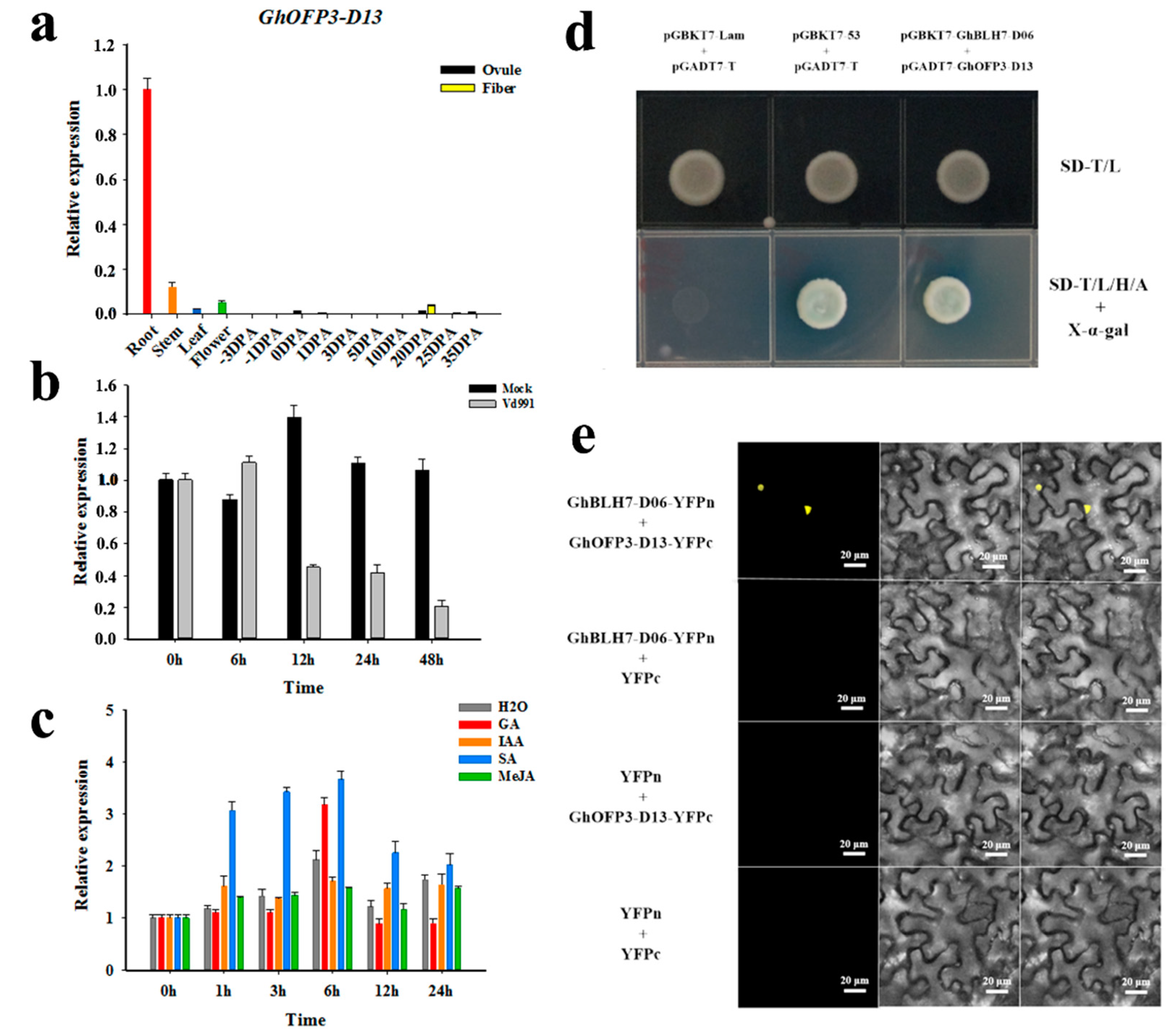 Ijms 21 07126 g005 Ijms 21 07126 g005