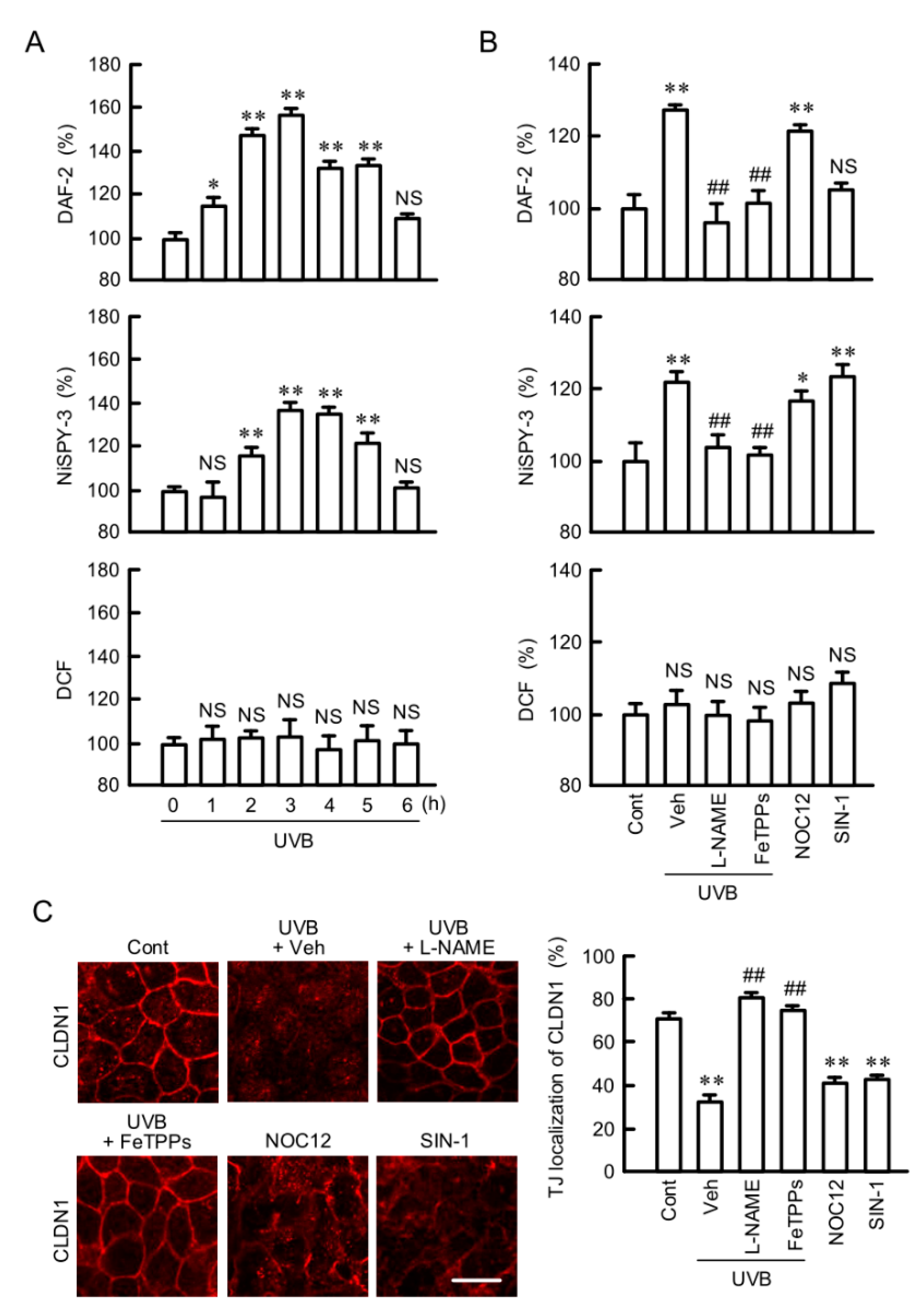 Ijms 21 07138 g005 Ijms 21 07138 g005