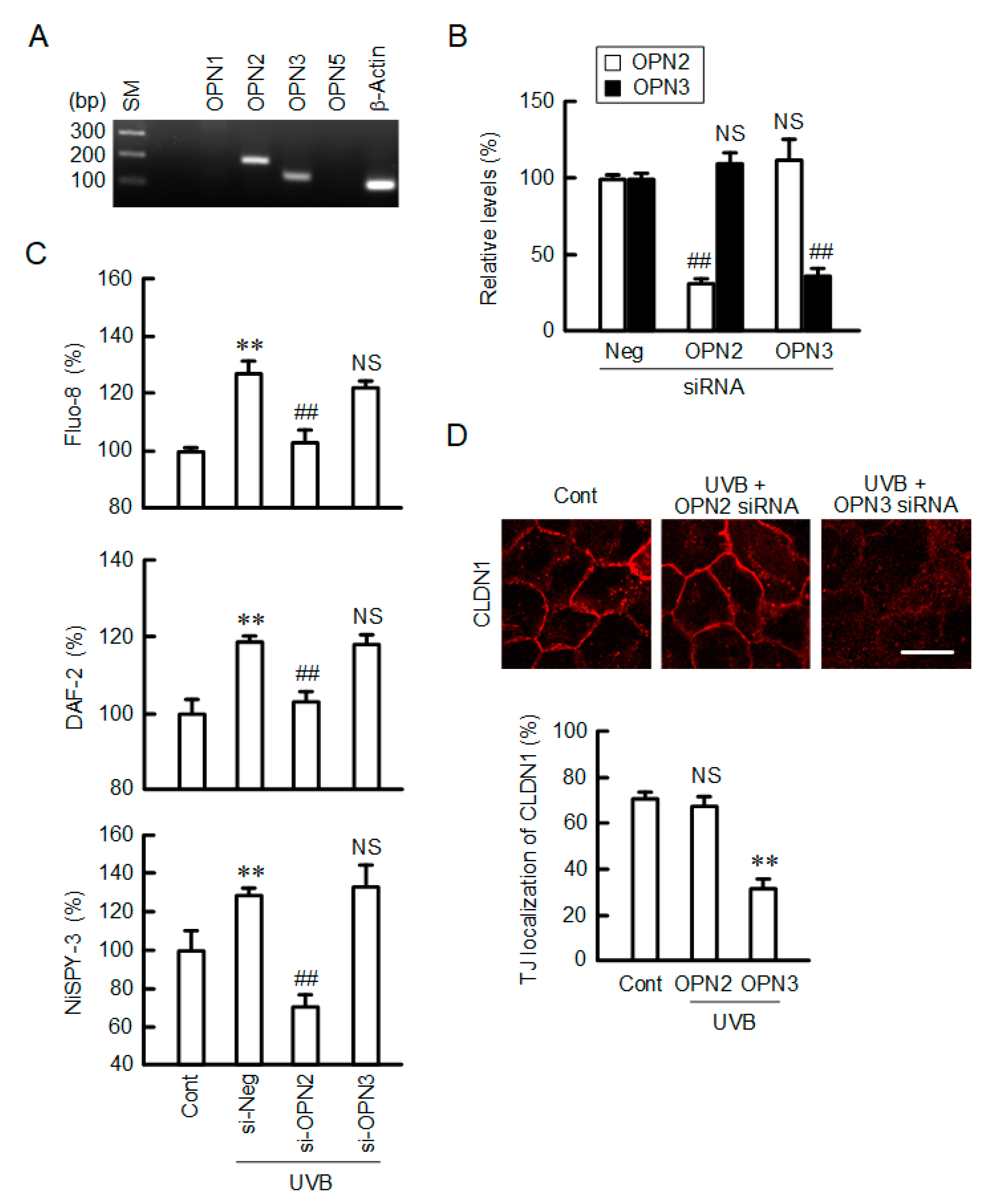 Ijms 21 07138 g009 Ijms 21 07138 g009