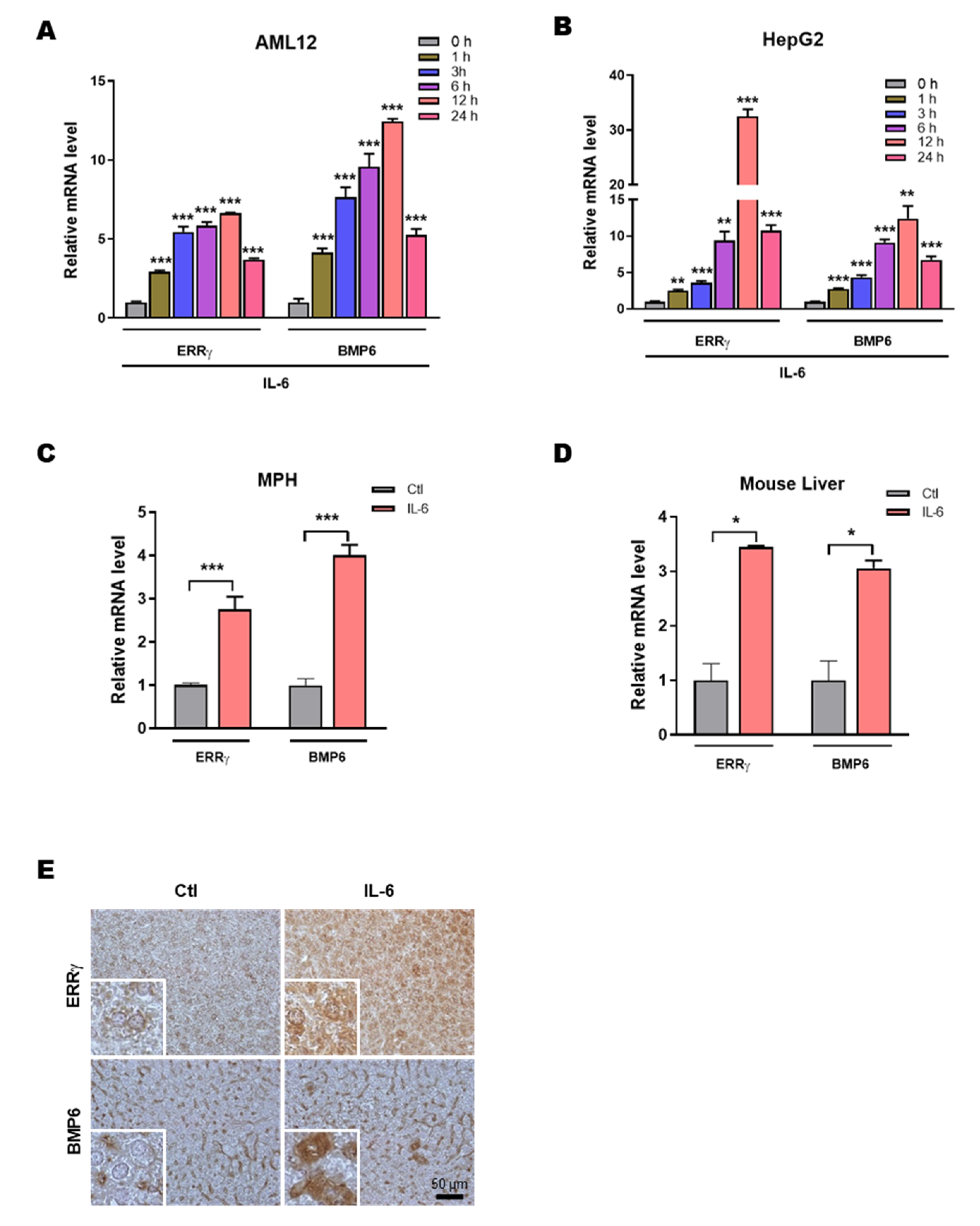 Ijms 21 07148 g001 Ijms 21 07148 g001