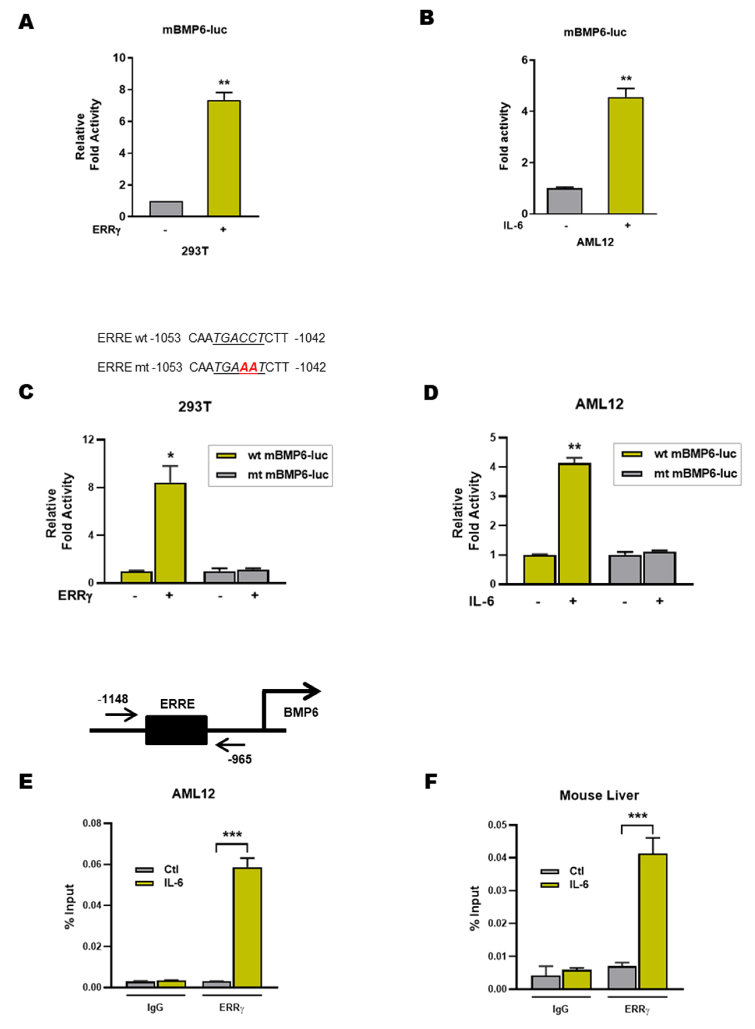 Ijms 21 07148 g004 Ijms 21 07148 g004