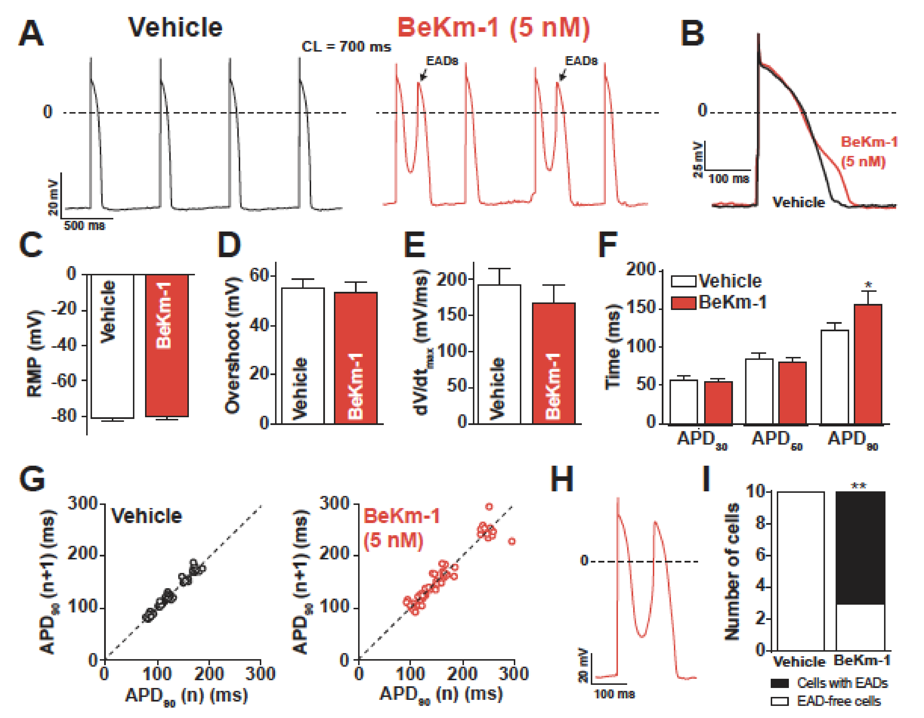 IJMS | Free Full-Text | Functional Impact of BeKm-1, a High-Affinity hERG  Blocker, on Cardiomyocytes Derived from Human-Induced Pluripotent Stem  Cells | HTML