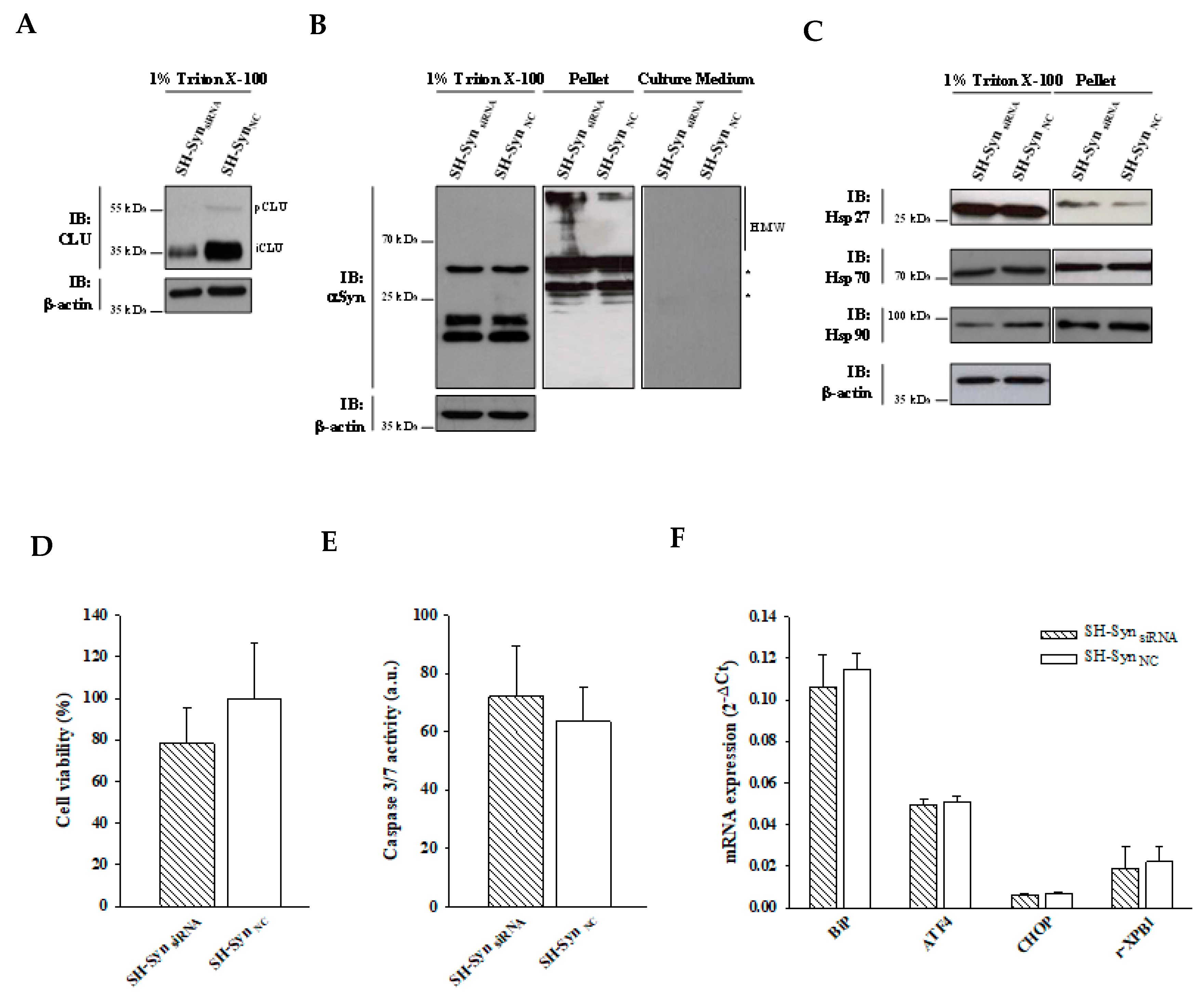 Ijms 21 07181 g008 Ijms 21 07181 g008