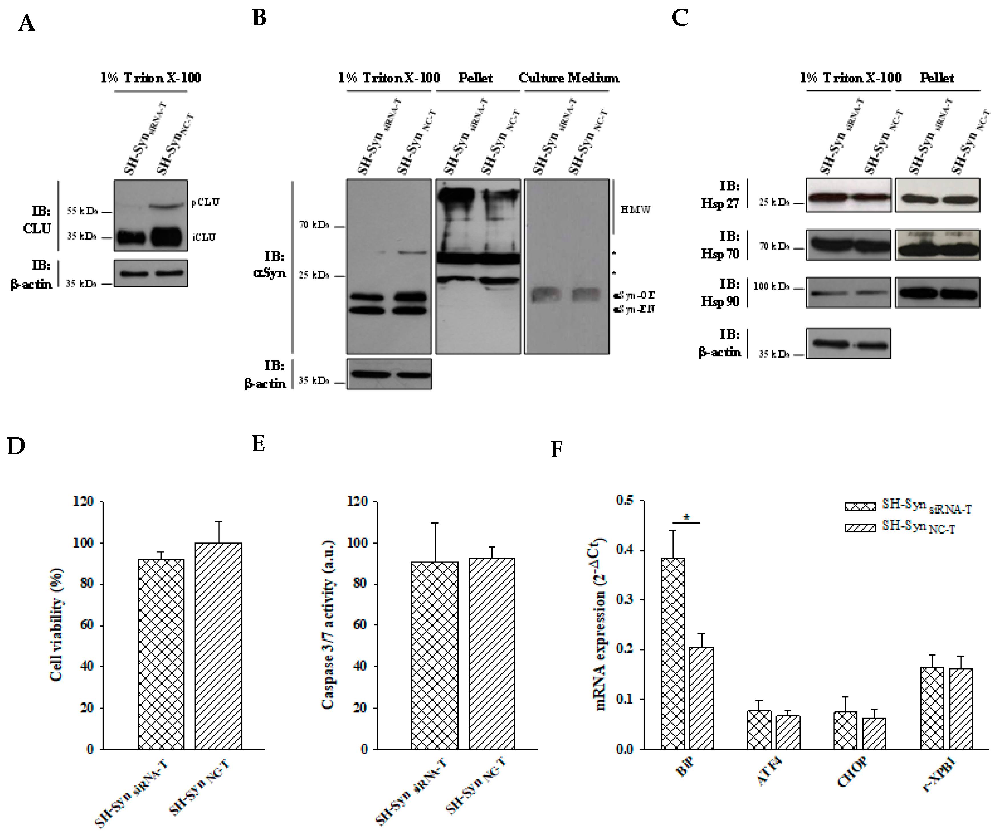 Ijms 21 07181 g009 Ijms 21 07181 g009