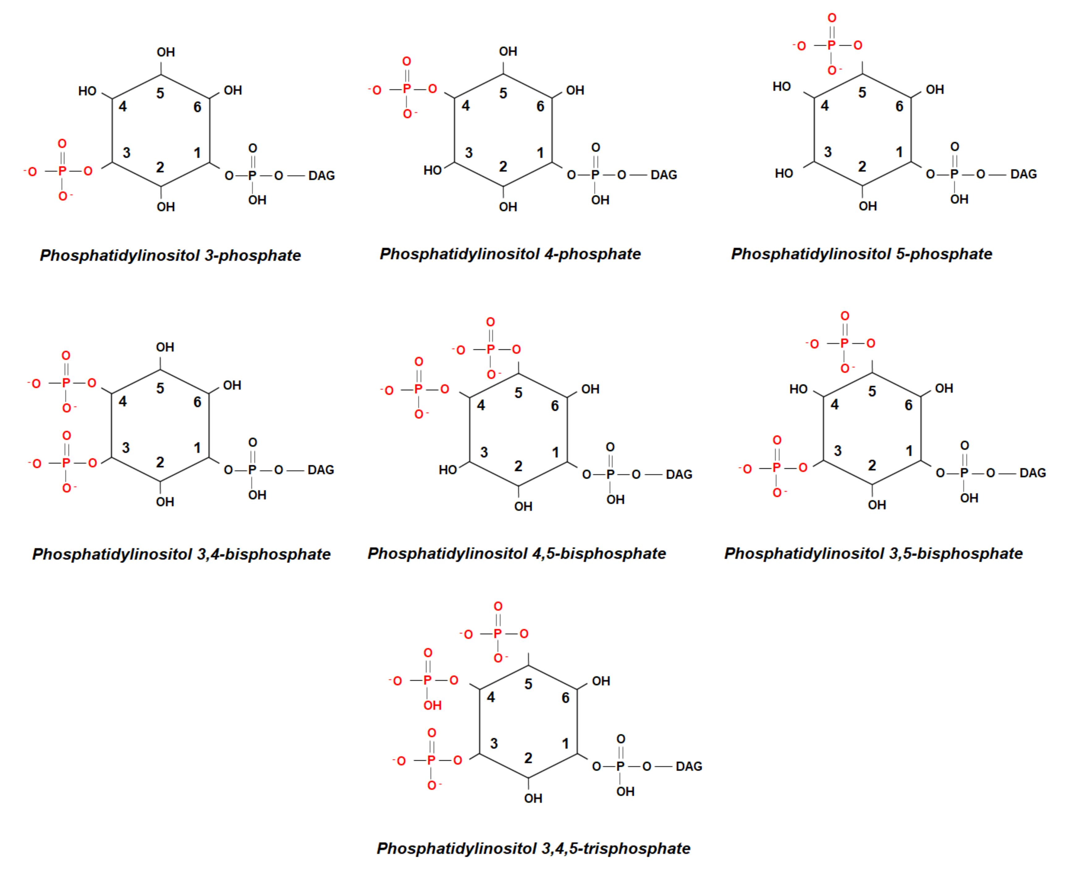 Ijms 21 07198 g002 Ijms 21 07198 g002