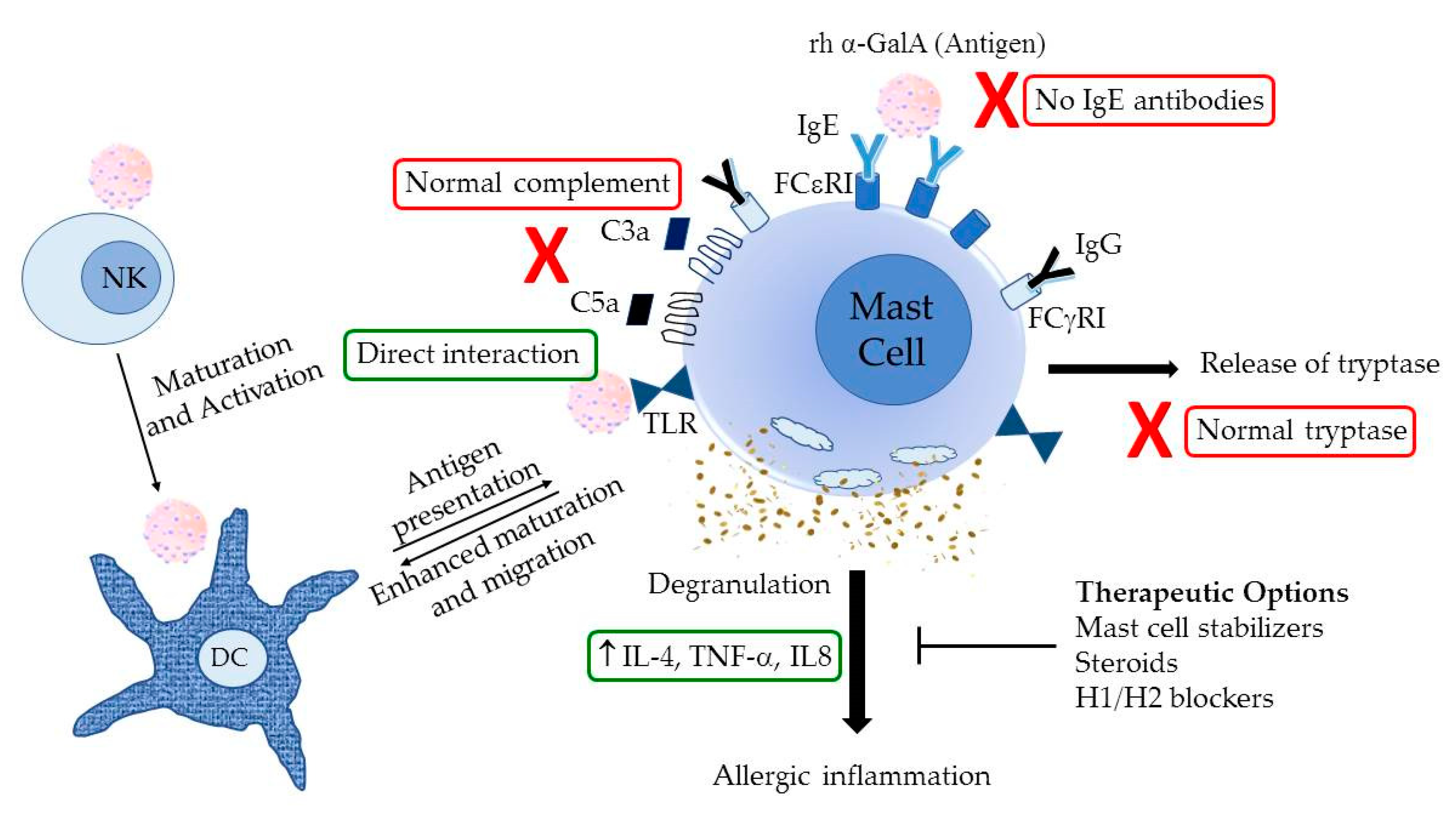 Ijms 21 07213 g004 Ijms 21 07213 g004