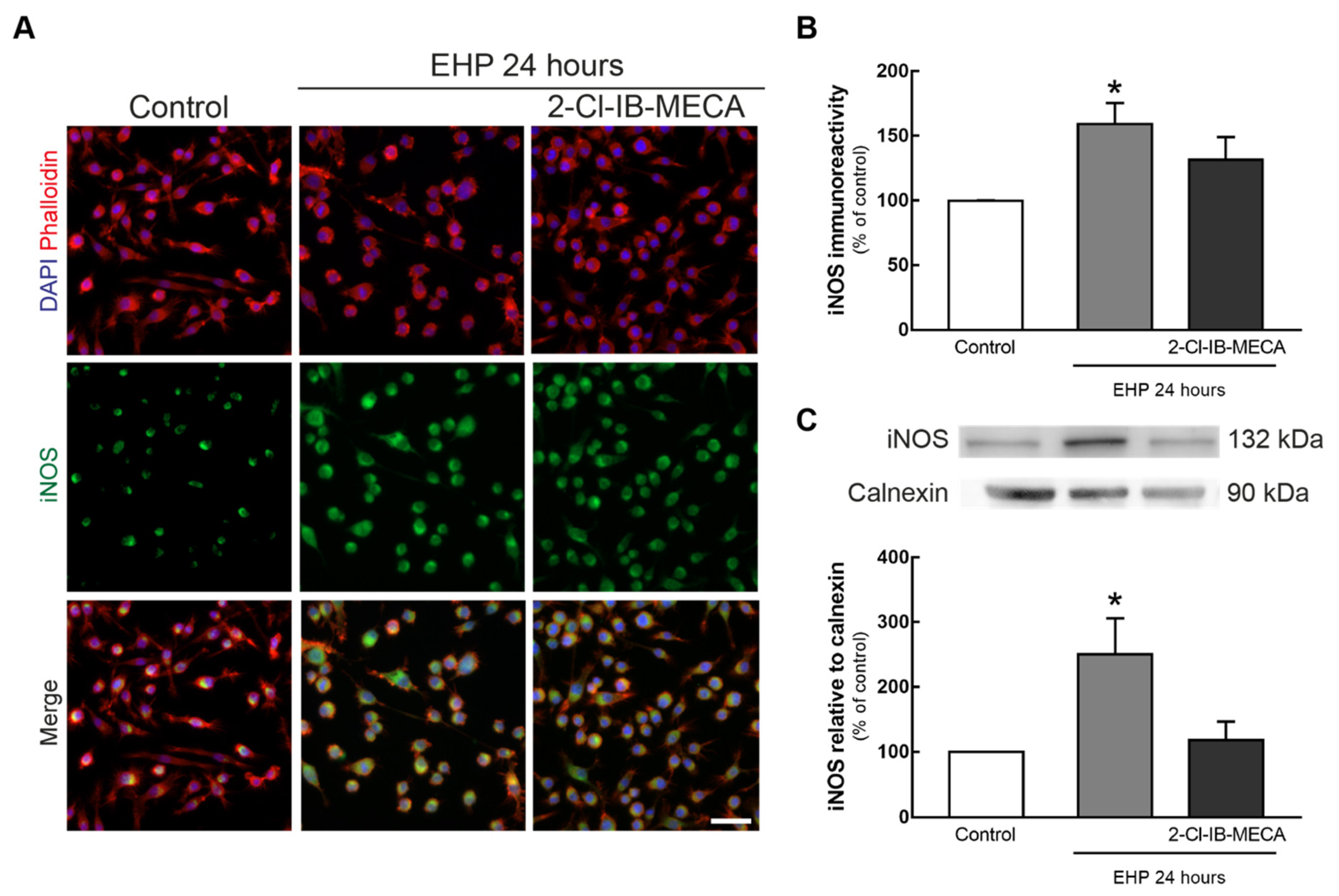Ijms 21 07218 g002 Ijms 21 07218 g002