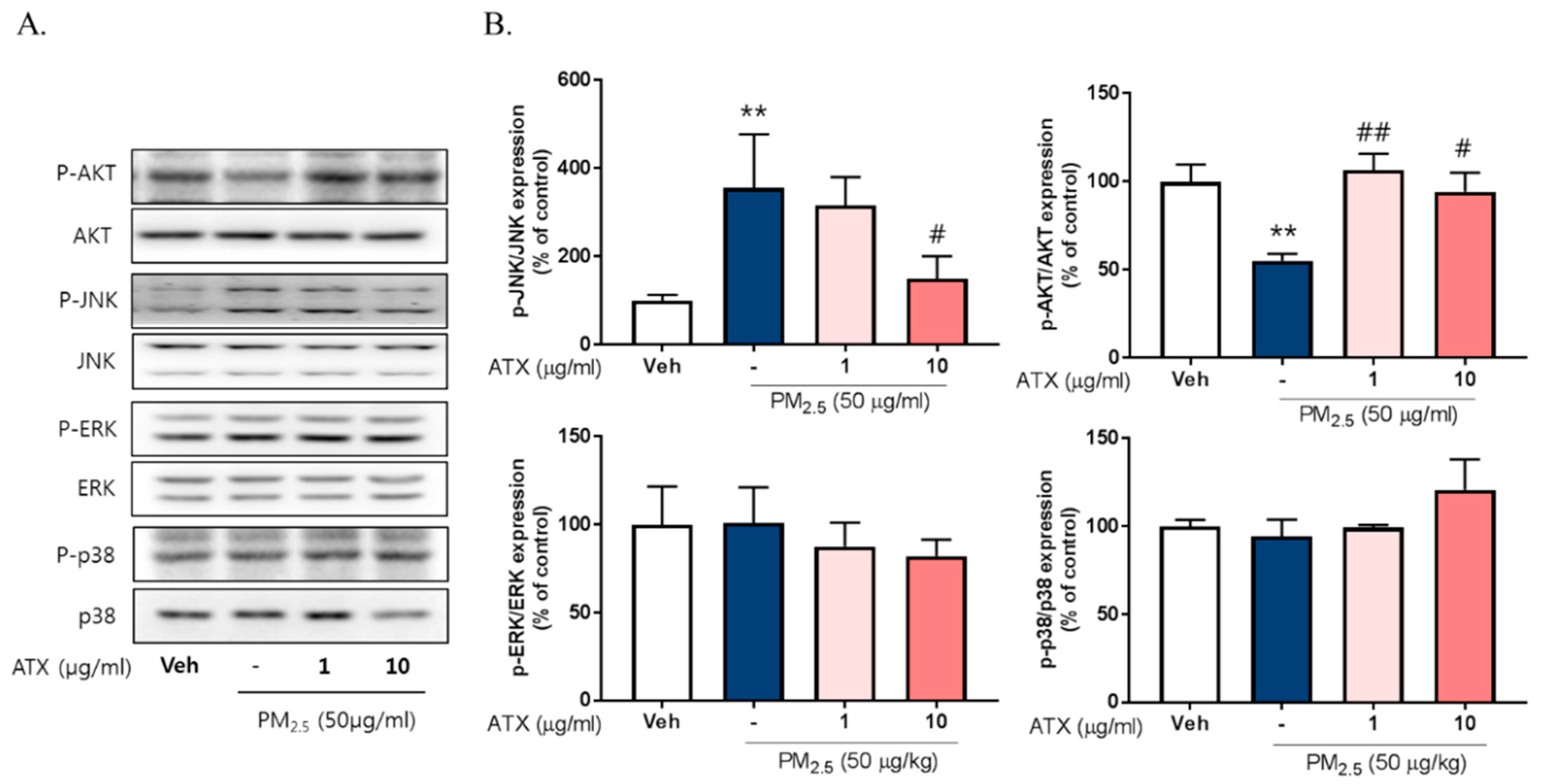 Ijms 21 07227 g005 Ijms 21 07227 g005
