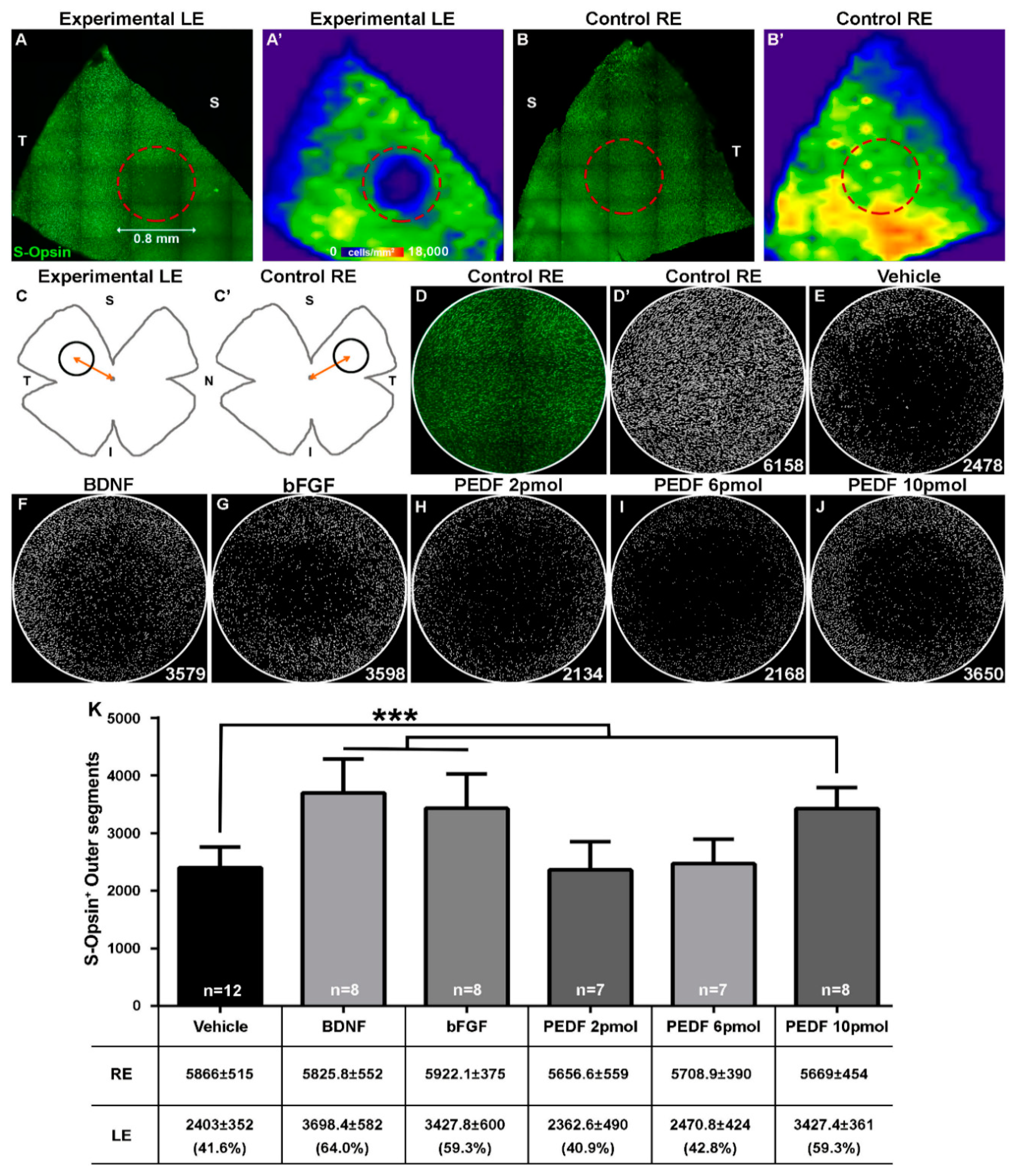 Ijms 21 07242 g001 Ijms 21 07242 g001