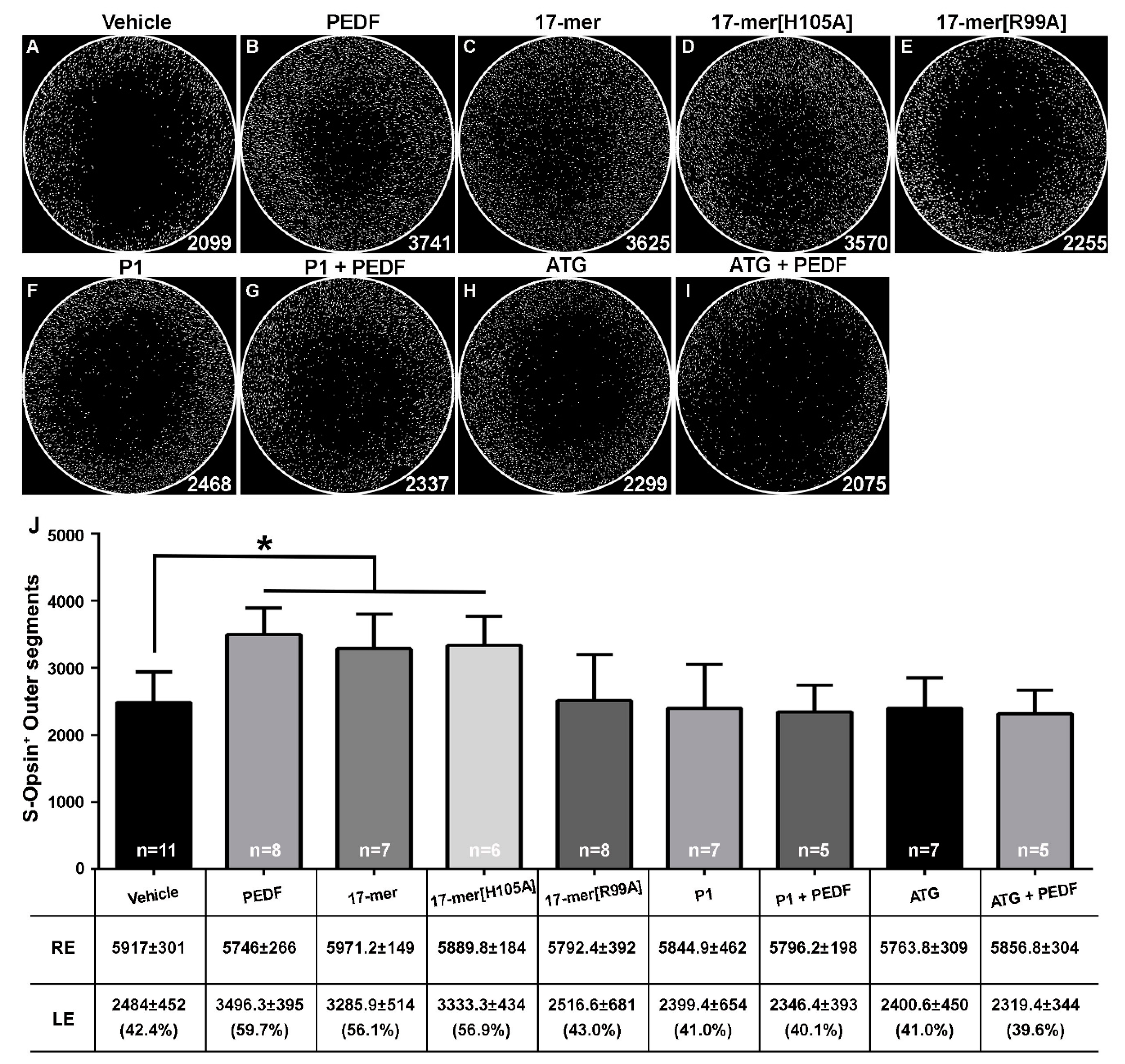 Ijms 21 07242 g002 Ijms 21 07242 g002