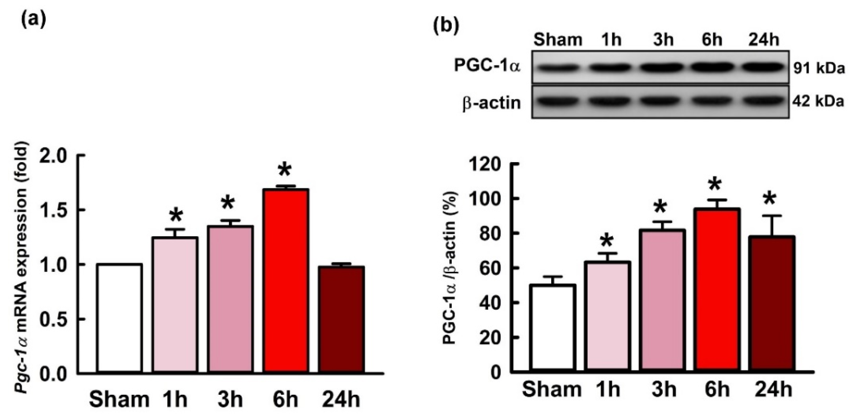 Ijms 21 07247 g001 Ijms 21 07247 g001