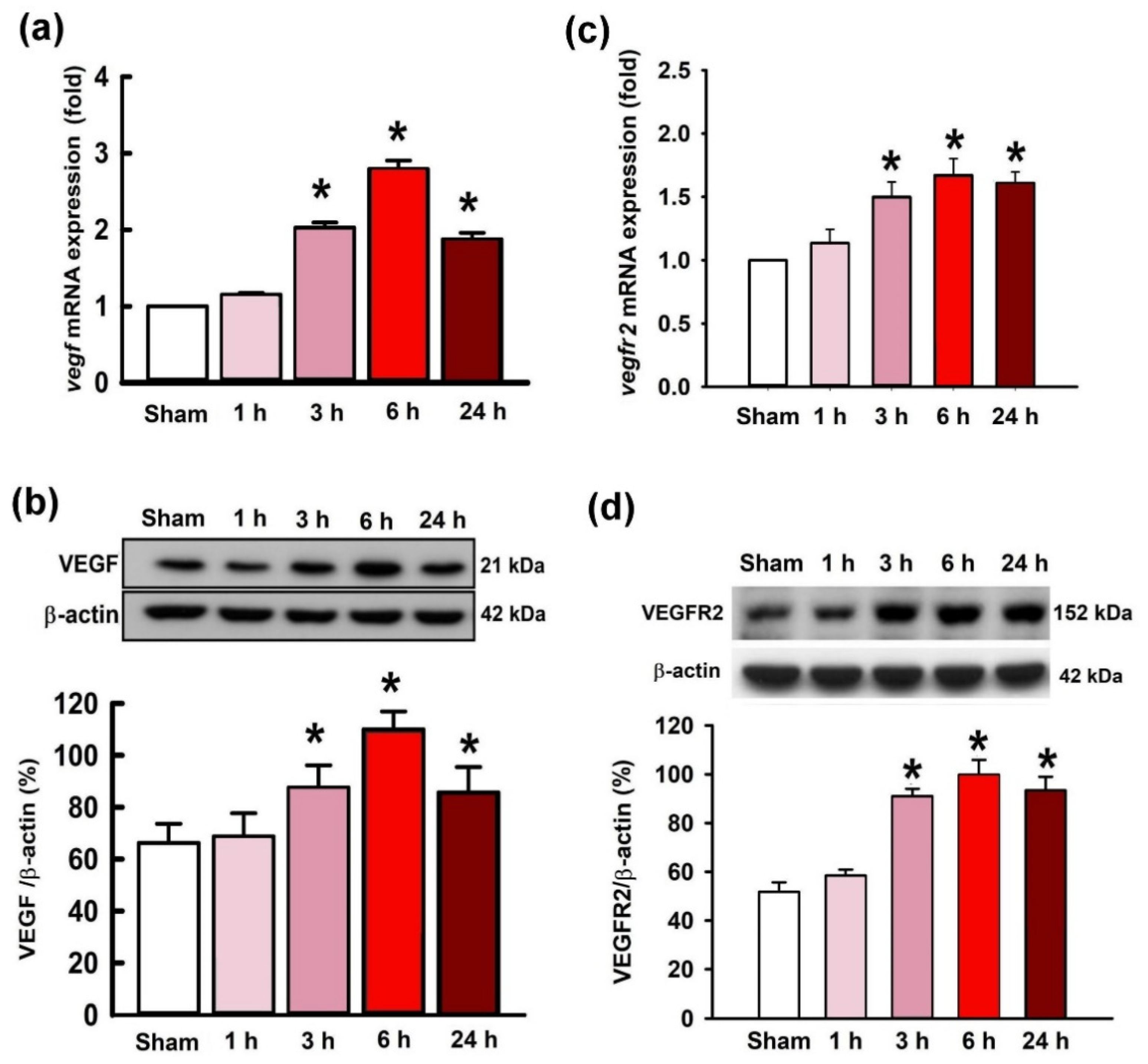 Ijms 21 07247 g002 Ijms 21 07247 g002