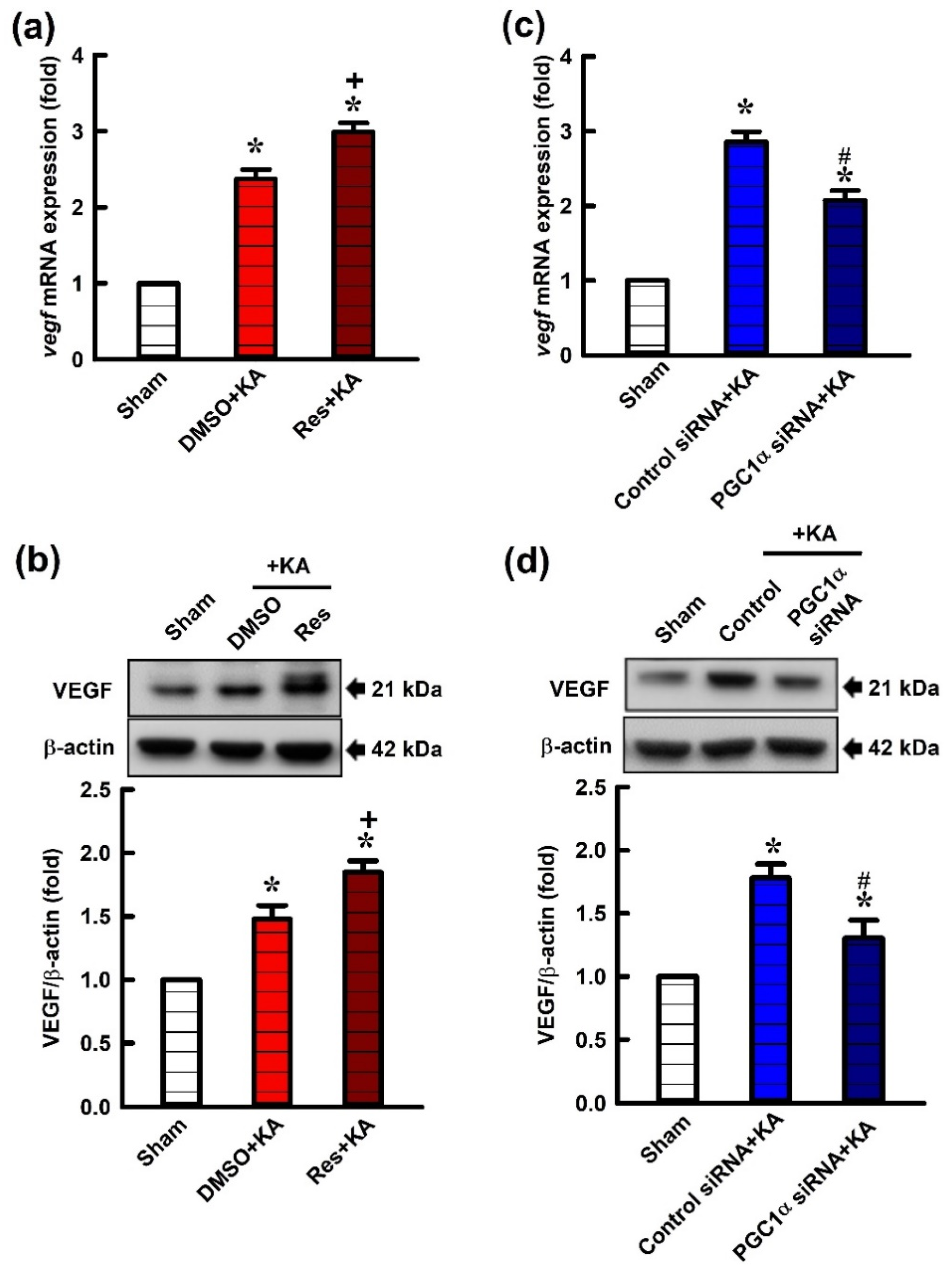 Ijms 21 07247 g003 Ijms 21 07247 g003