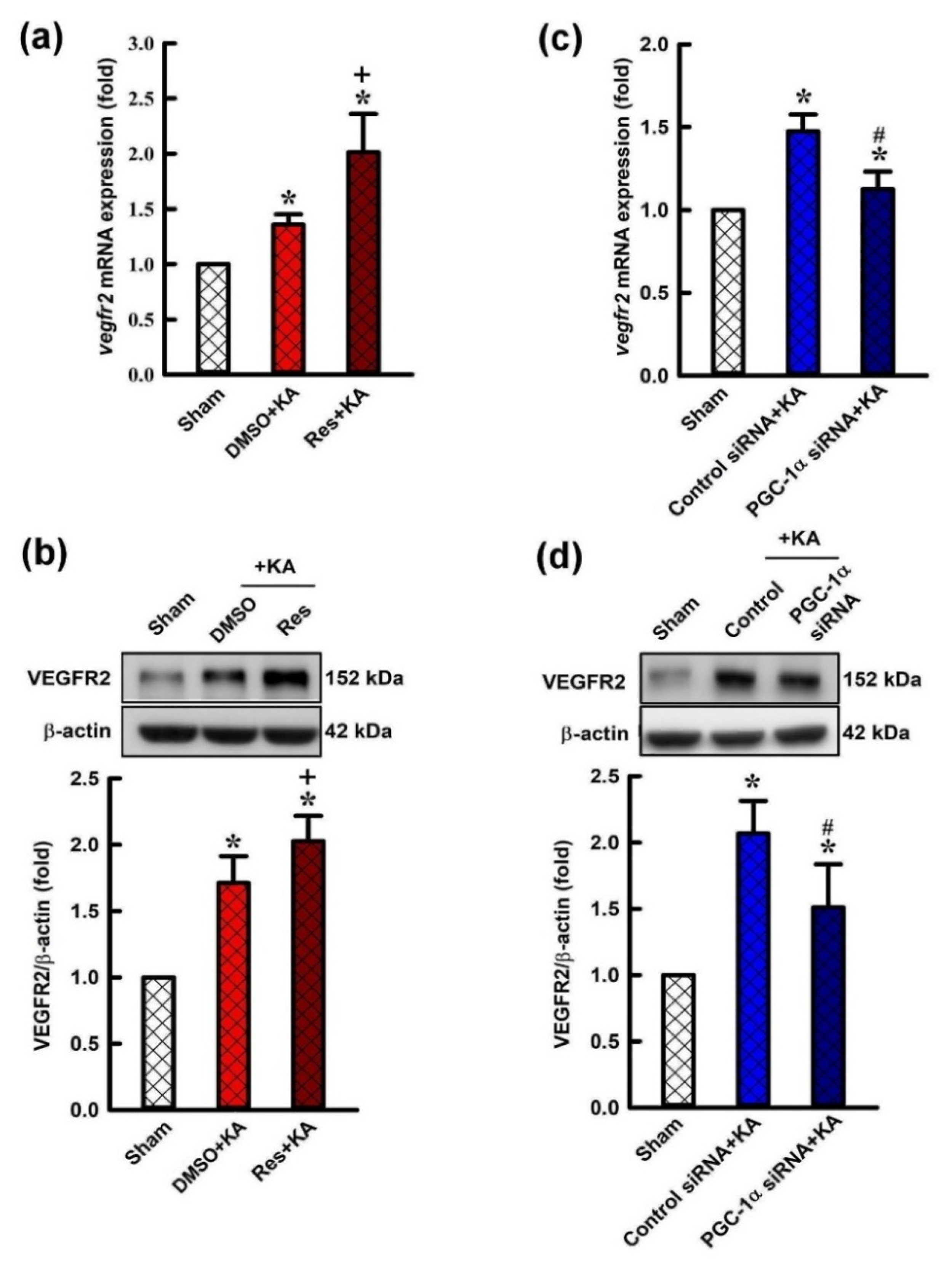 Ijms 21 07247 g005 Ijms 21 07247 g005