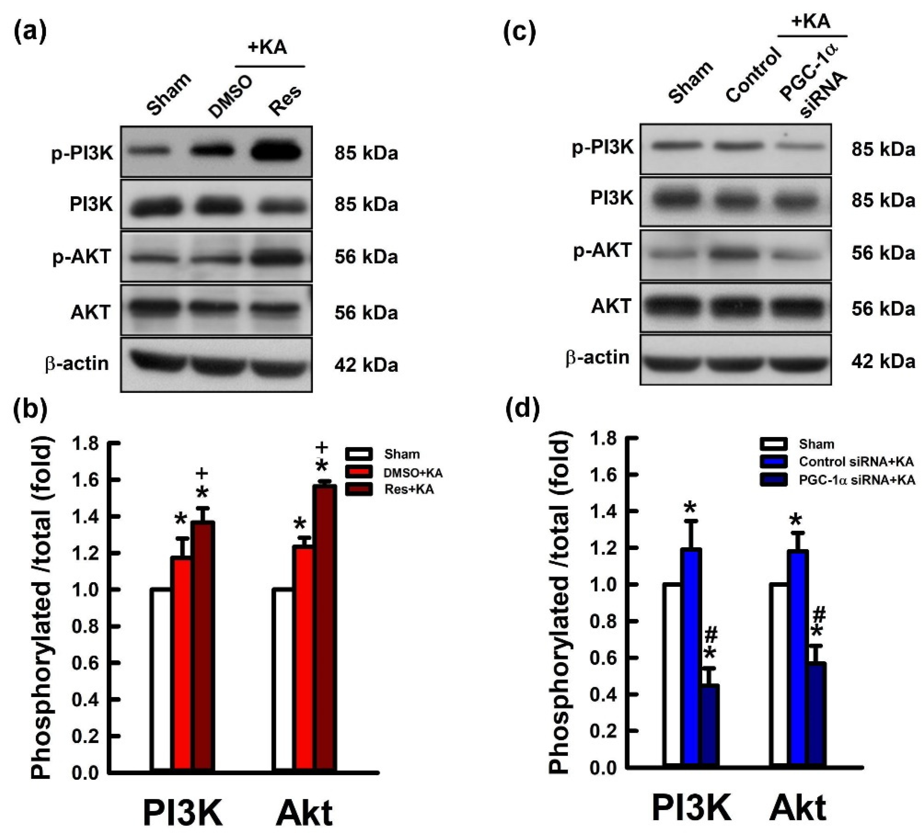 Ijms 21 07247 g006 Ijms 21 07247 g006