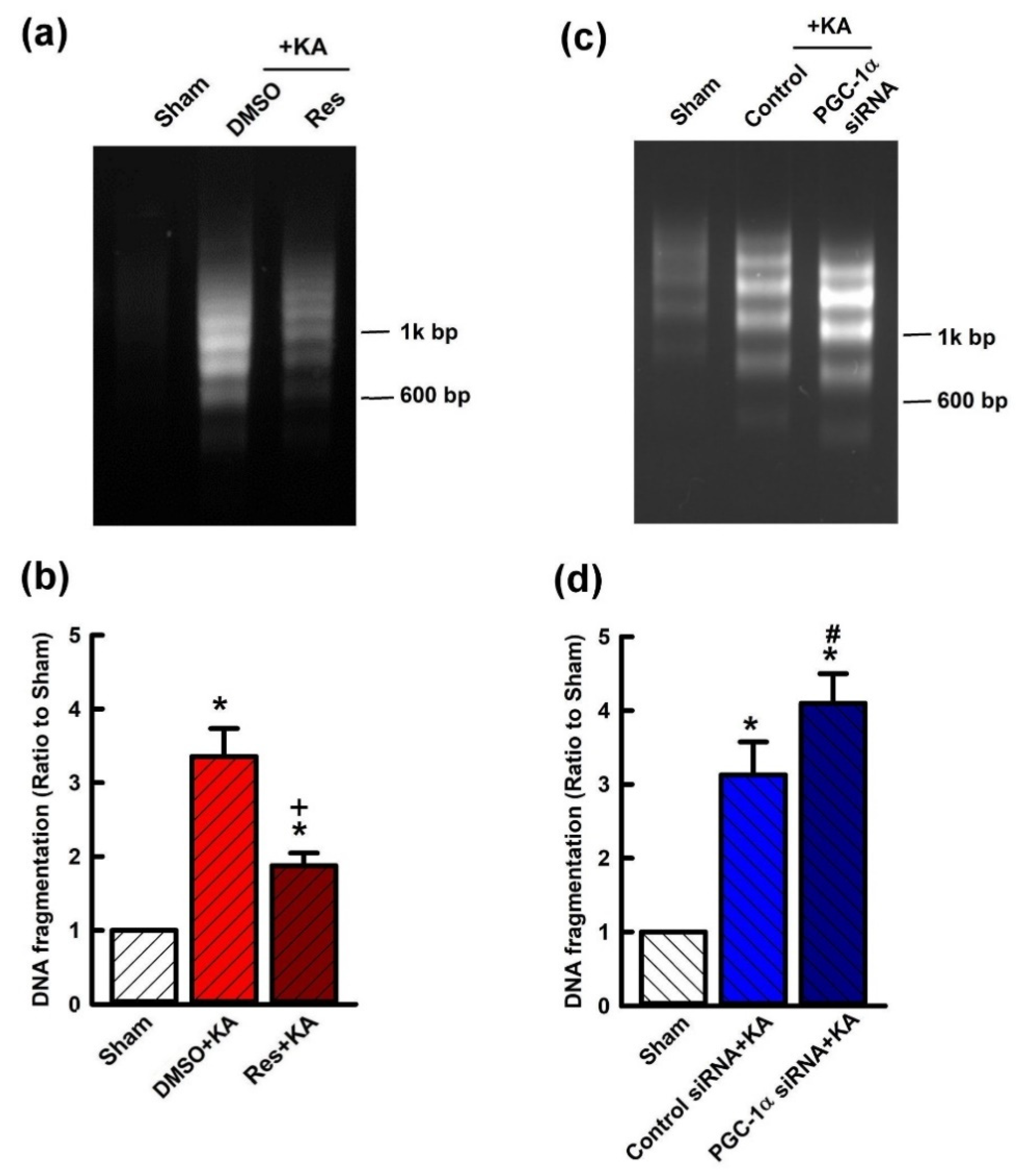 Ijms 21 07247 g009 Ijms 21 07247 g009