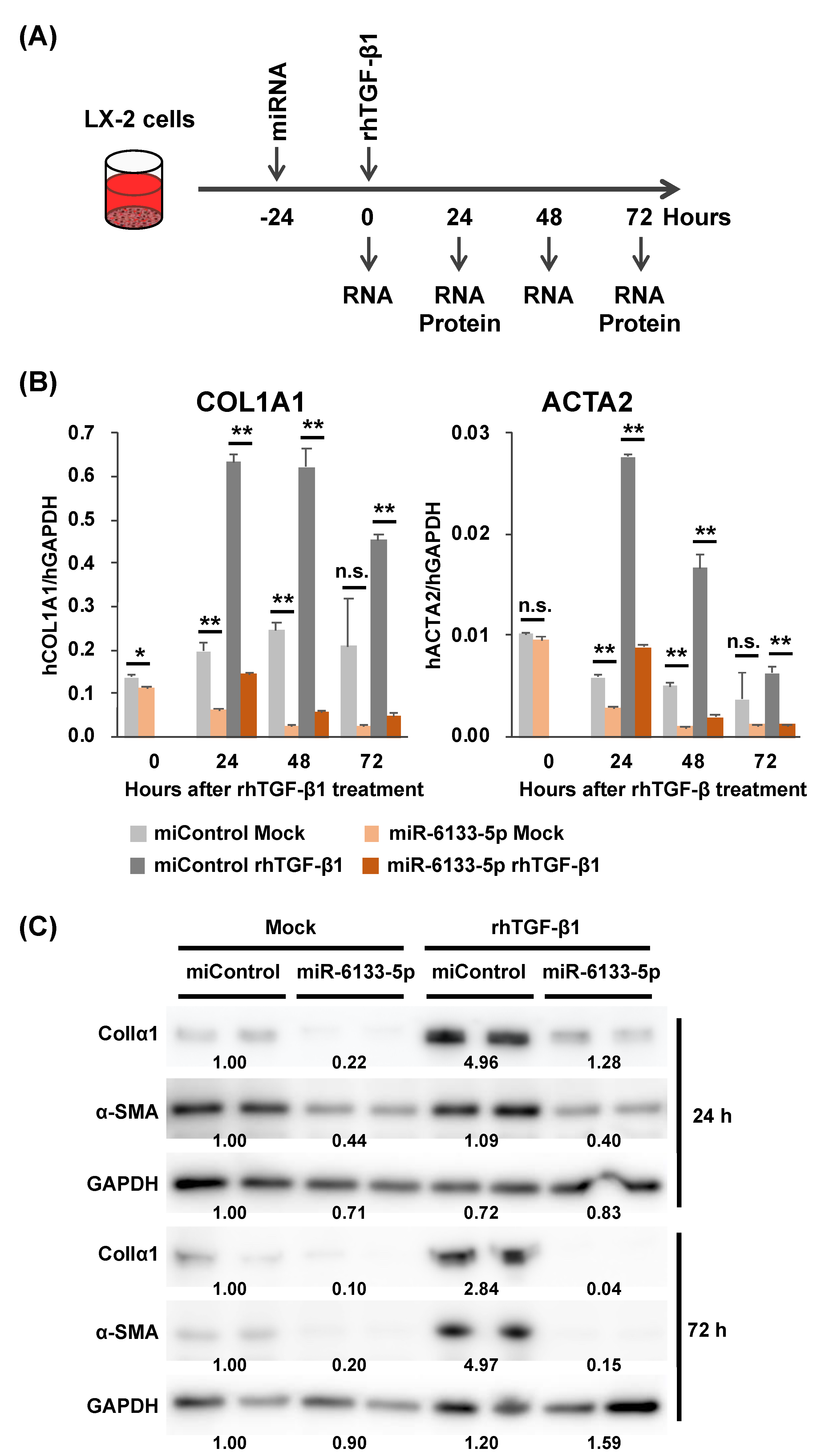 Ijms 21 07251 g001 Ijms 21 07251 g001