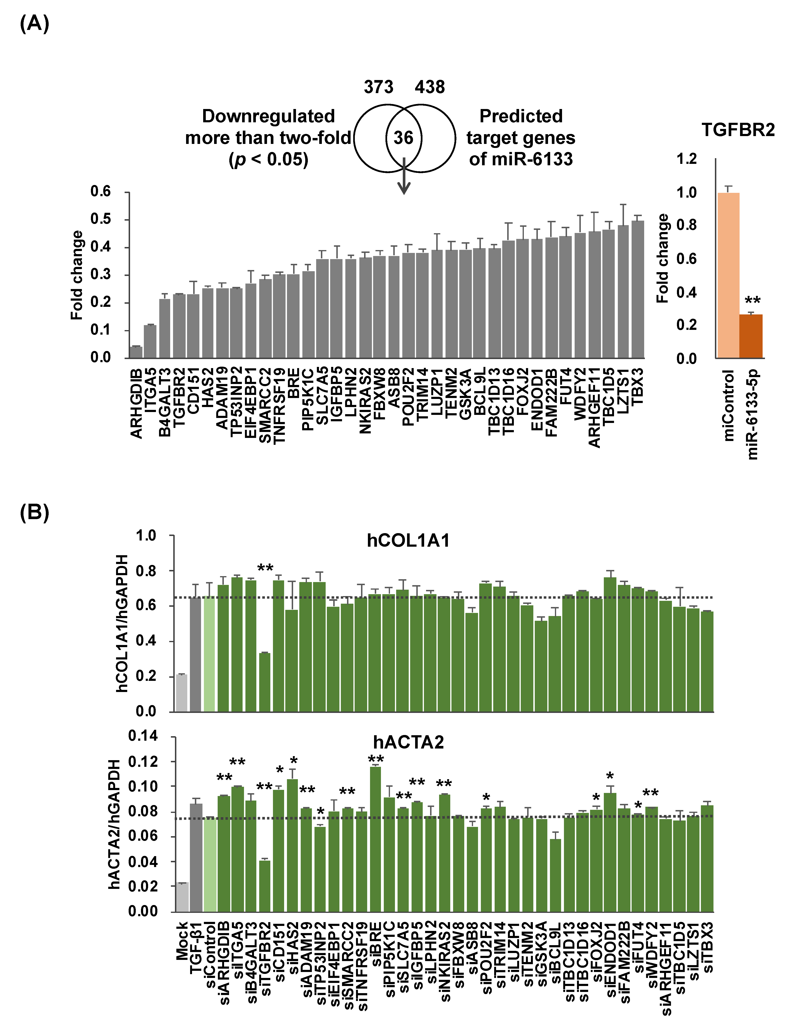 Ijms 21 07251 g002 Ijms 21 07251 g002