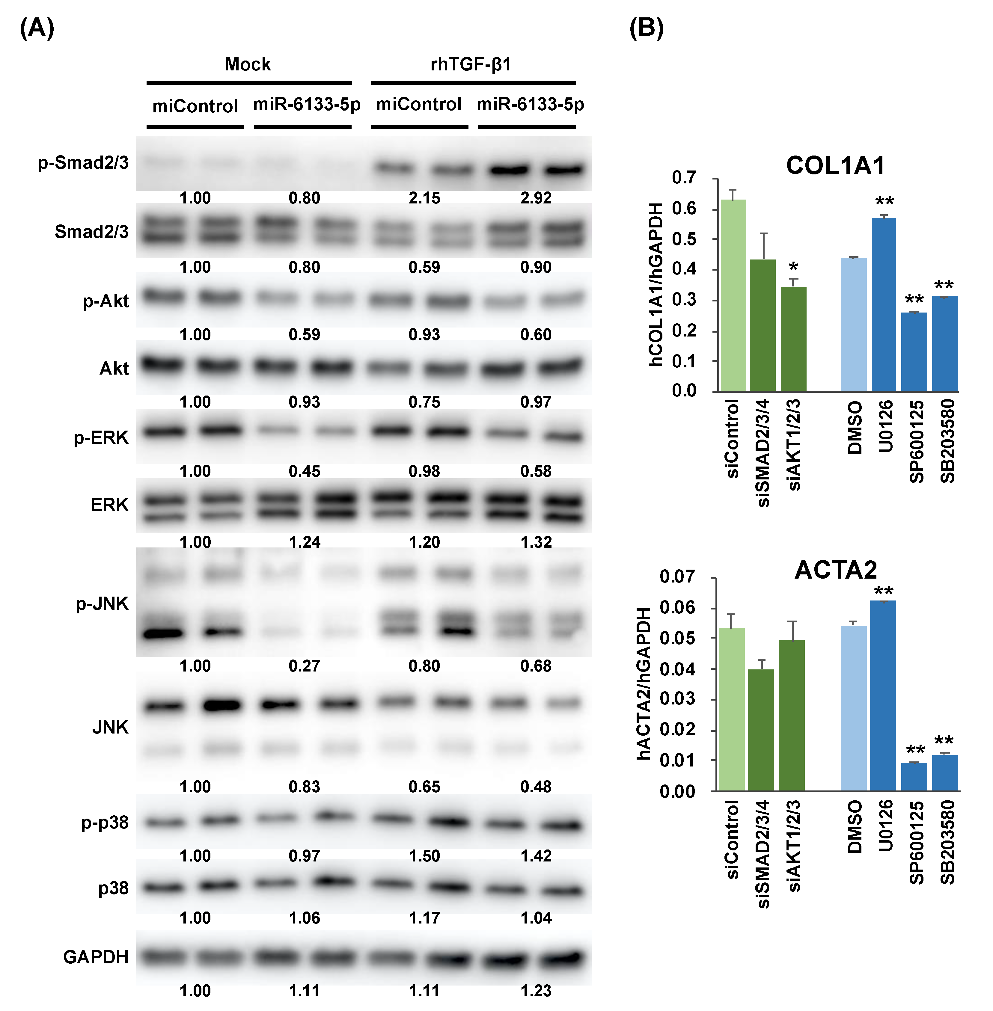 Ijms 21 07251 g003 Ijms 21 07251 g003