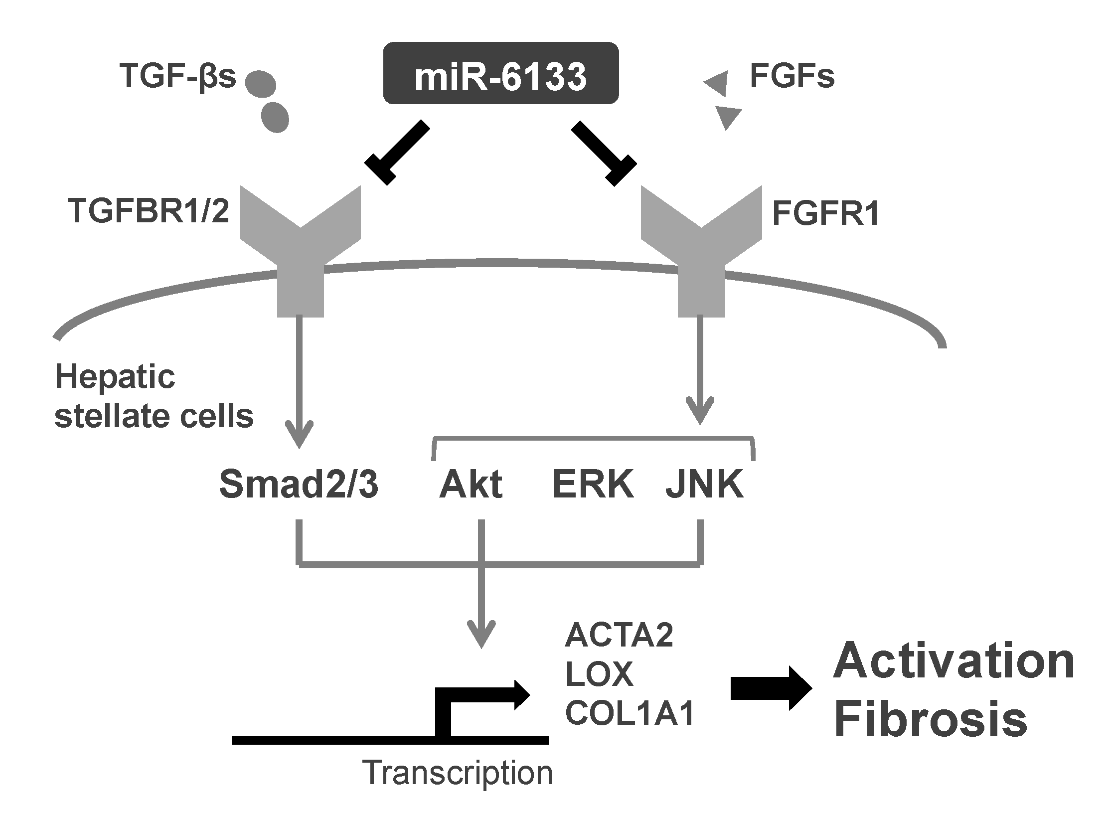 Ijms 21 07251 g005 Ijms 21 07251 g005