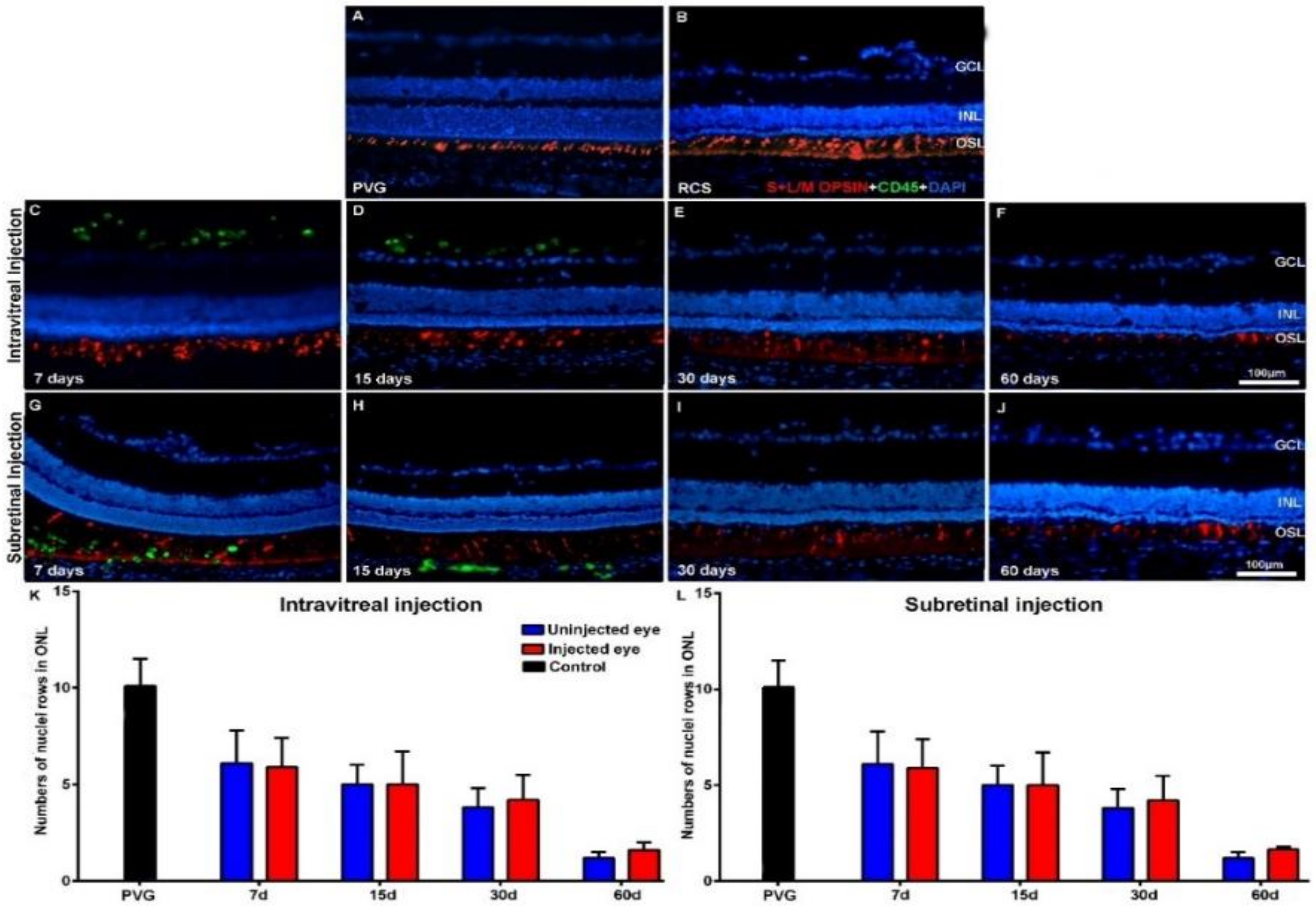 Ijms 21 07252 g001 Ijms 21 07252 g001