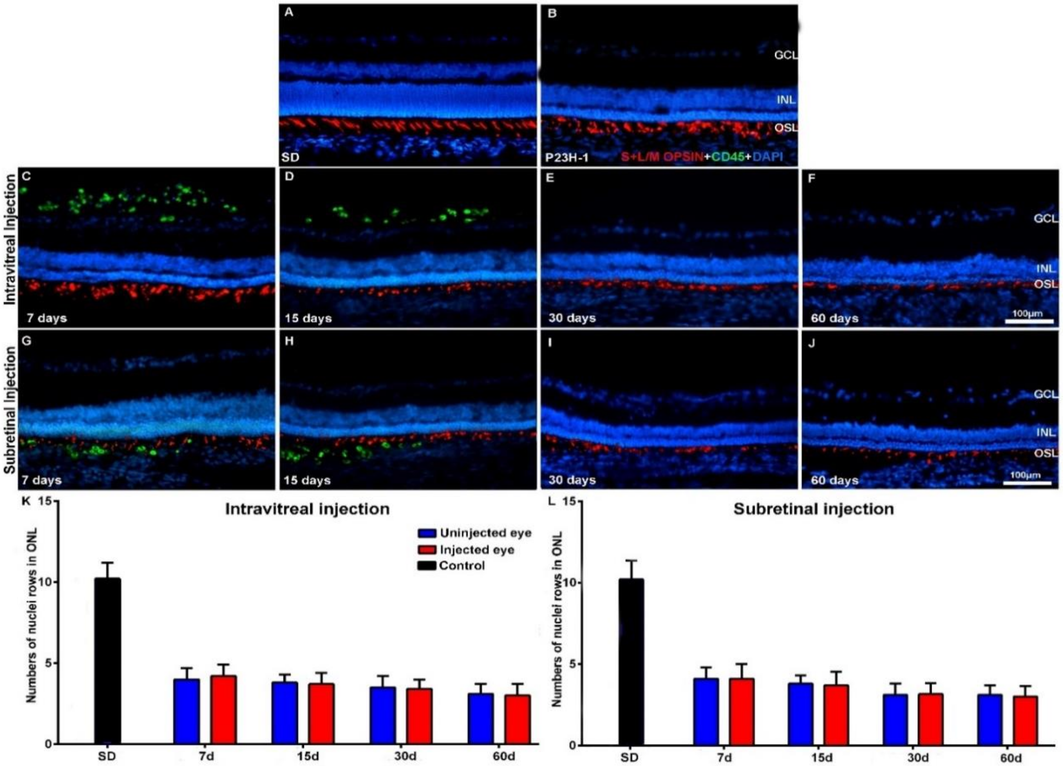 Ijms 21 07252 g002 Ijms 21 07252 g002