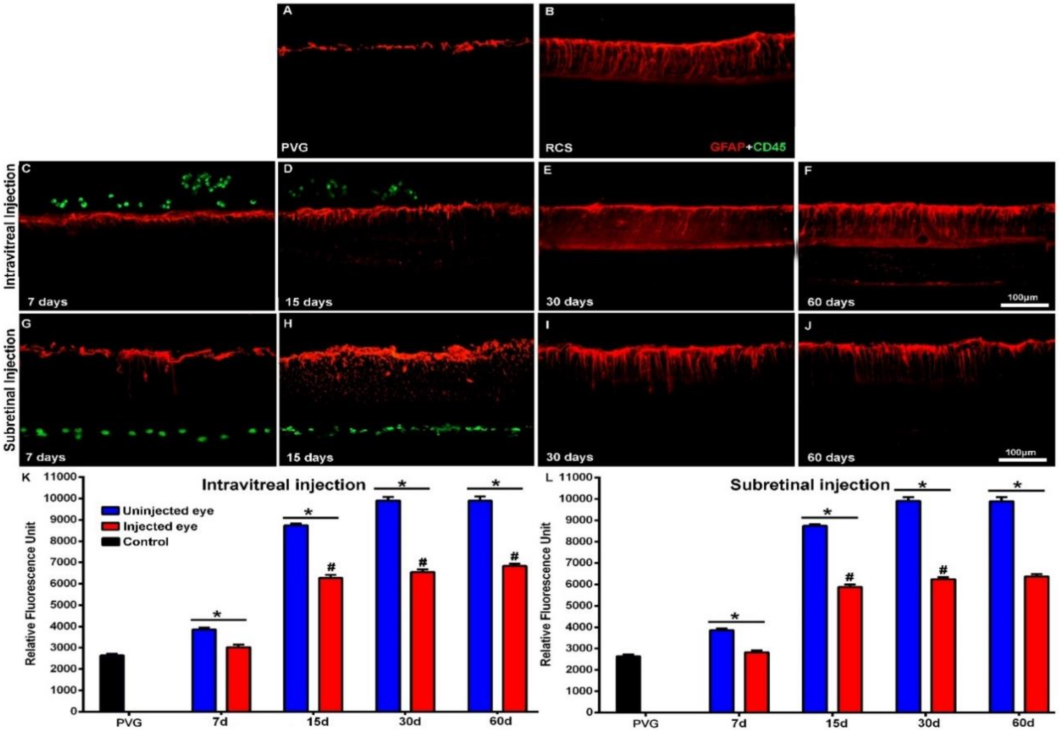 Ijms 21 07252 g005 Ijms 21 07252 g005