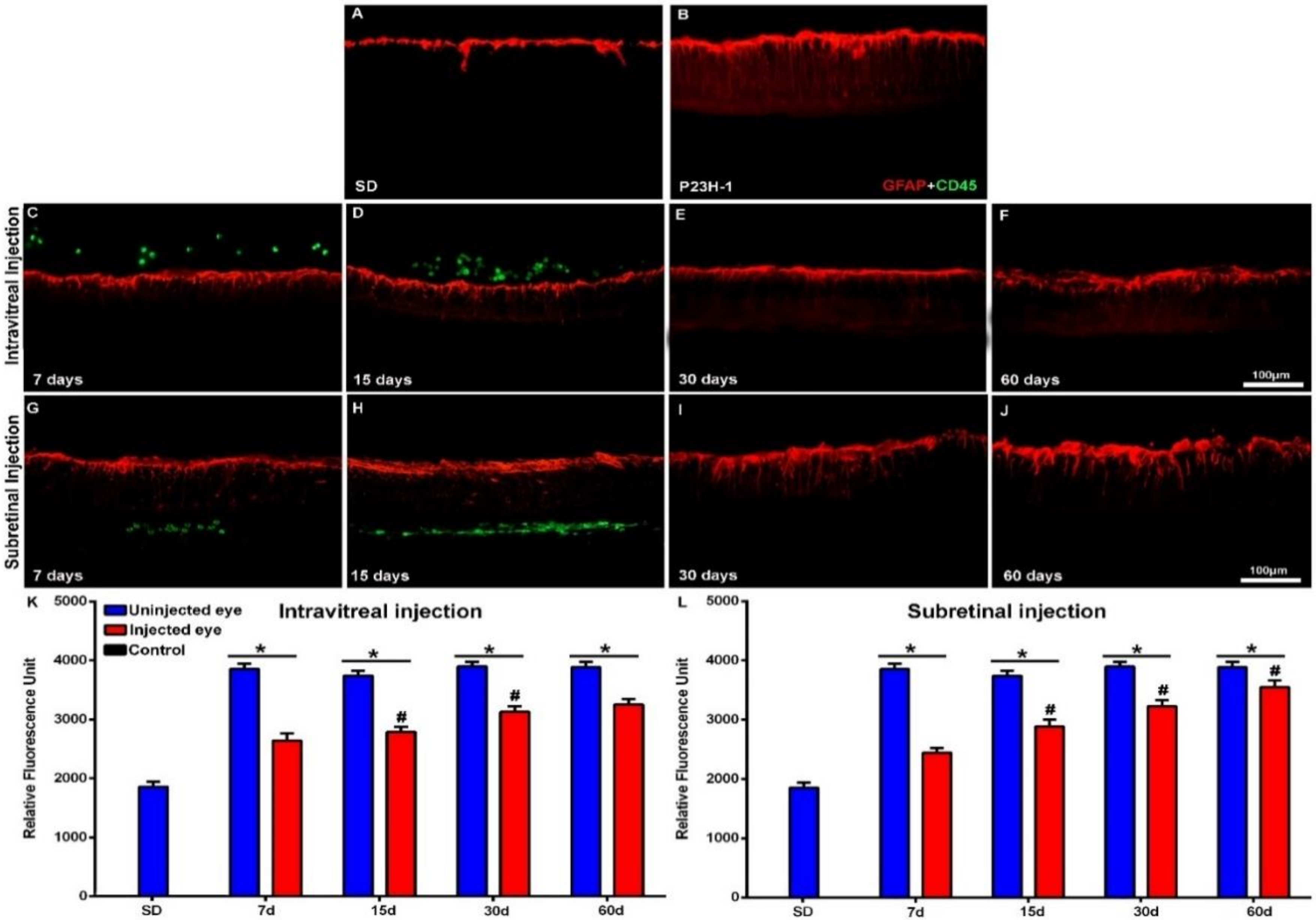 Ijms 21 07252 g006 Ijms 21 07252 g006