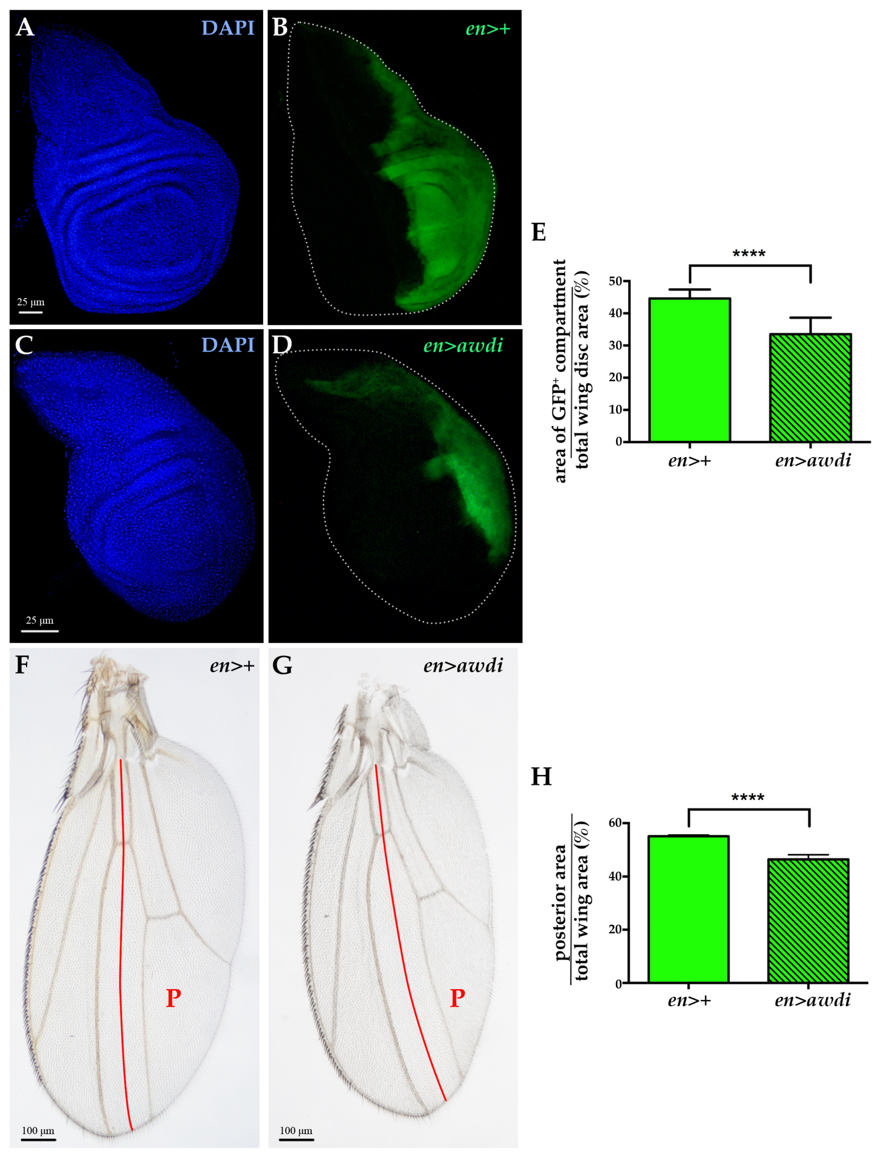 Ijms 21 07257 g002 Ijms 21 07257 g002