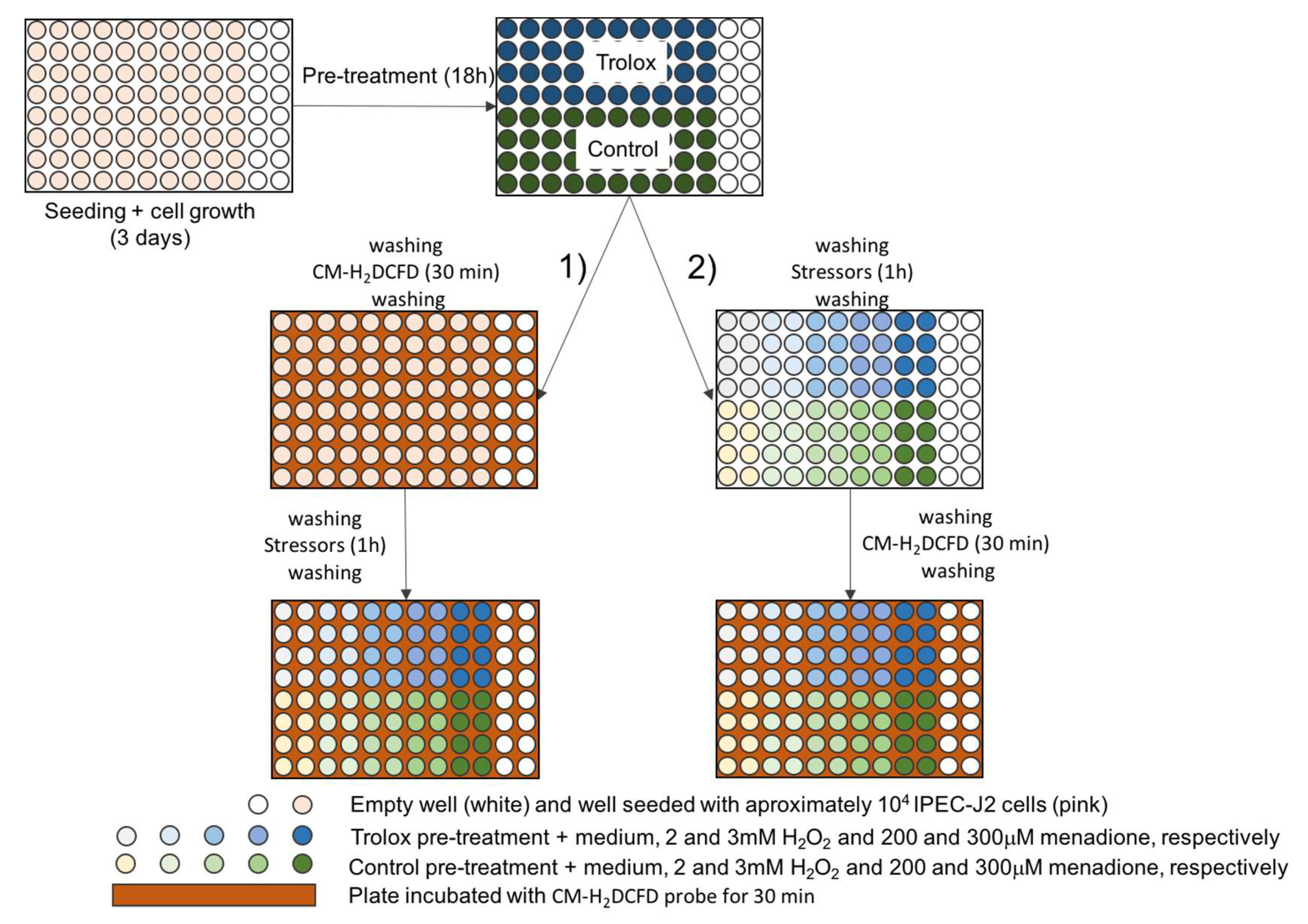 Ijms 21 07263 g007 Ijms 21 07263 g007