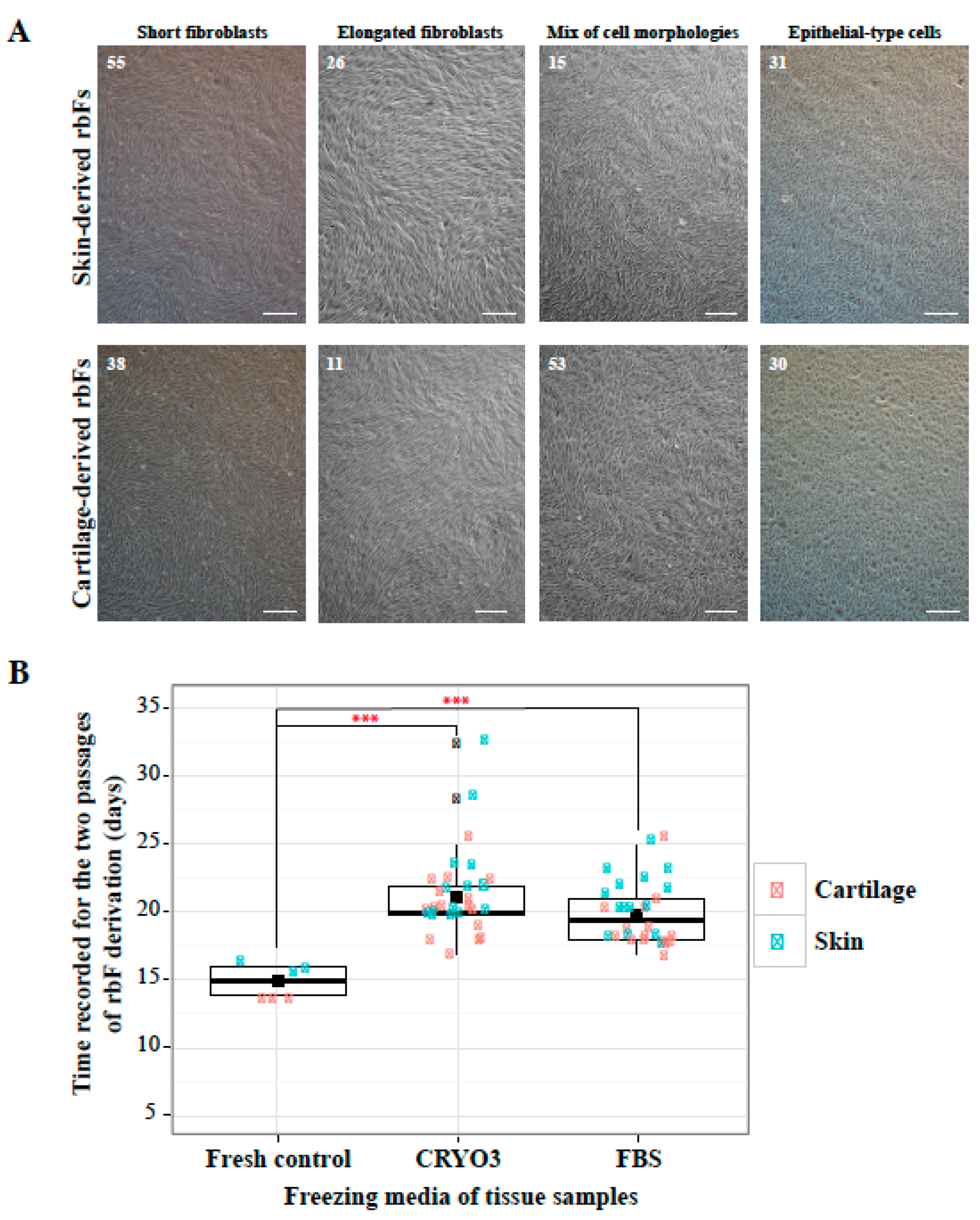 Ijms 21 07285 g002 Ijms 21 07285 g002