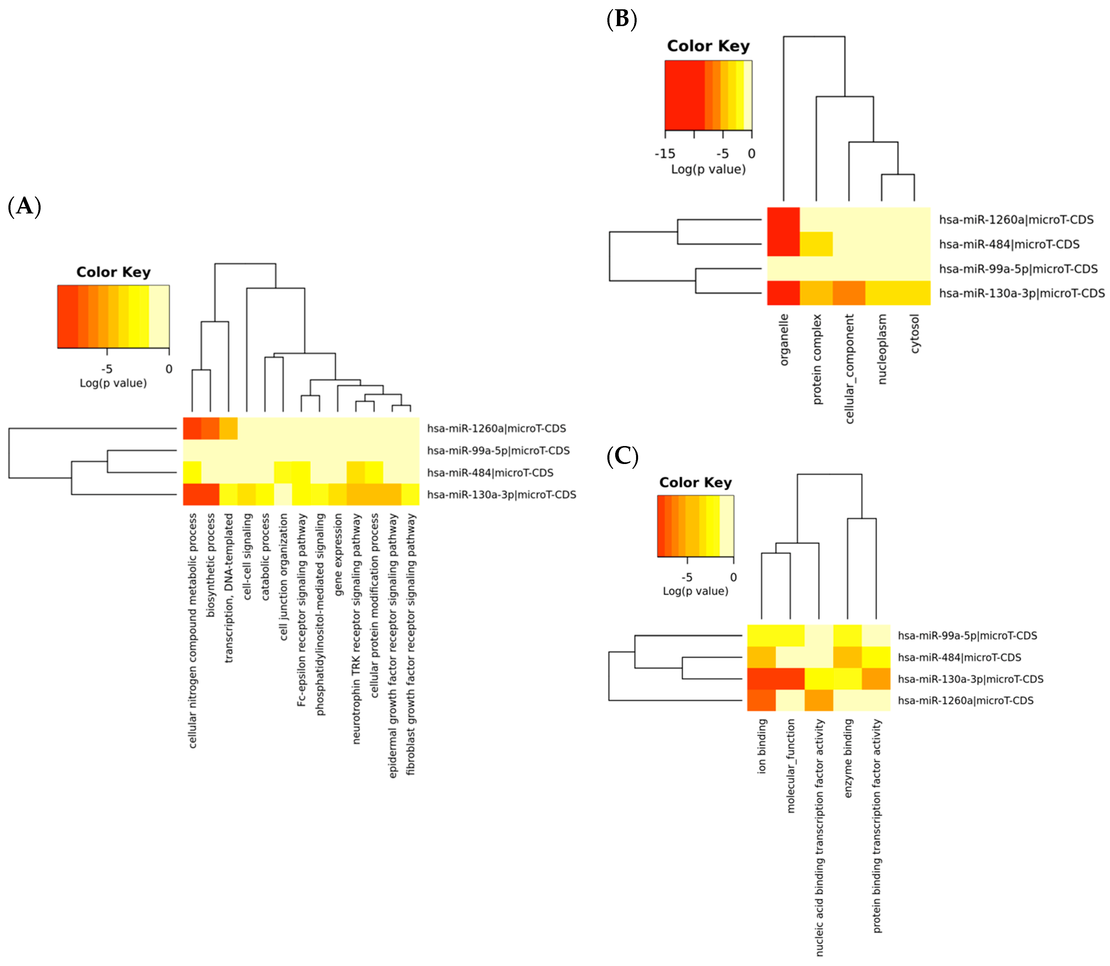 Ijms 21 07288 g002 Ijms 21 07288 g002